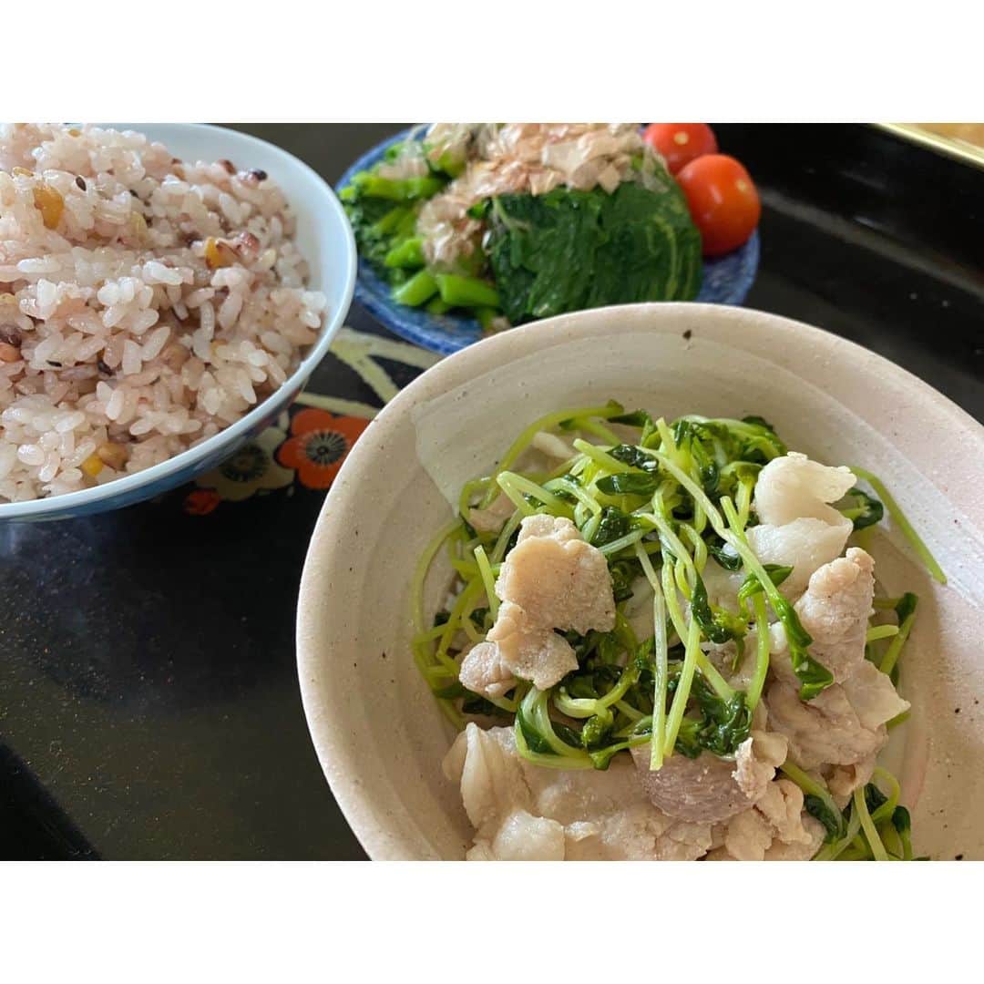 高木沙織さんのインスタグラム写真 - (高木沙織Instagram)「ごはん🍚🍚 * しばらく私は別メニュー。 卵、牛乳、小麦粉を控えた食事を意識しています。 おそらく私には合っている…気がします。 とは言っても遅延型フードアレルギーの検査を受けたわけではないので一個人の感想にすぎませんが、特に肌の調子が良くなったように感じます。 「肌は内臓の鏡」と言いますから、きっと体調も良いはず。 ※ これらの食品がいけないという意味ではありません。 * おやつは干し芋🍠 カカオ86%のチョコレートを食べることもありますが、このどちらも低GI食品なので食後血糖値の上昇が緩やか。　 糖を脂肪として蓄えにくい！ * 毎日毎食ストイックに制限はできないけれど、自分の体が気持ち良くいられるようにいろいろ考えて取り入れてみるのは楽しいです。 * Be healthy and happy✨ * #ごはん #ごはん記録 #ごはん日記 #おうちごはん #おうちじかん #和食 #ヘルシー #食事 #健康 #免疫力アップ #stayhome #stayathome #food #foodstagram #health #behealthyandhappy #wellness」5月16日 20時11分 - saori_takagi