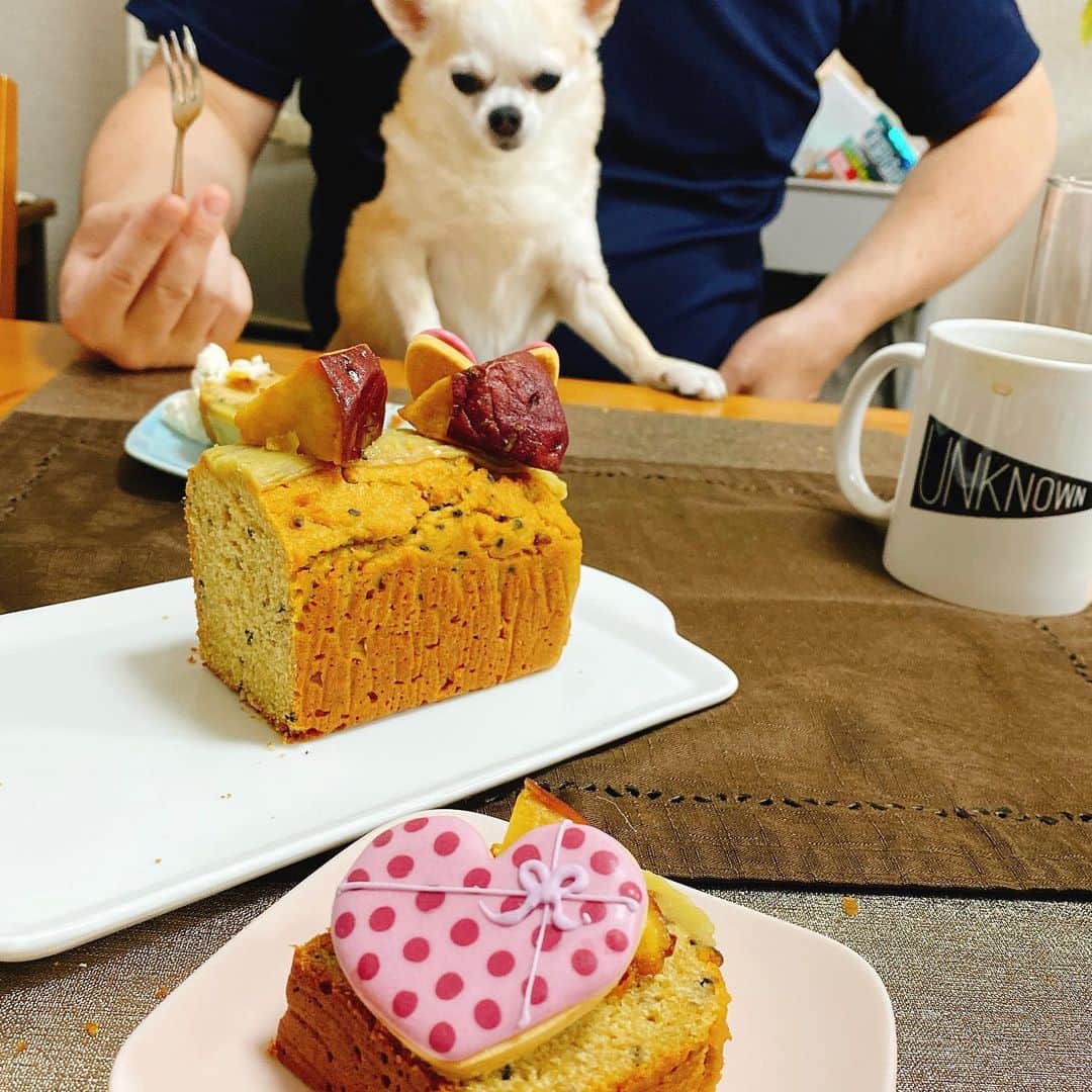 山﨑 薫さんのインスタグラム写真 - (山﨑 薫Instagram)「白砂糖、小麦粉、乳製品、保存料フリーのお芋のケーキ。 その名も おいも姫👸🍠👸（@oimohime.official ） お取り寄せして可愛いアイシングクッキーをデコレーションします。  無添加なので、お芋好きのタラちゃんも一緒にティータイム。  ほっこり可愛い美味しいデザートです🥰❤️ #おいもひめ  #アイシングクッキー #グルテンフリー #スイートポテトケーキ」5月16日 20時26分 - kaoruyamazaki906