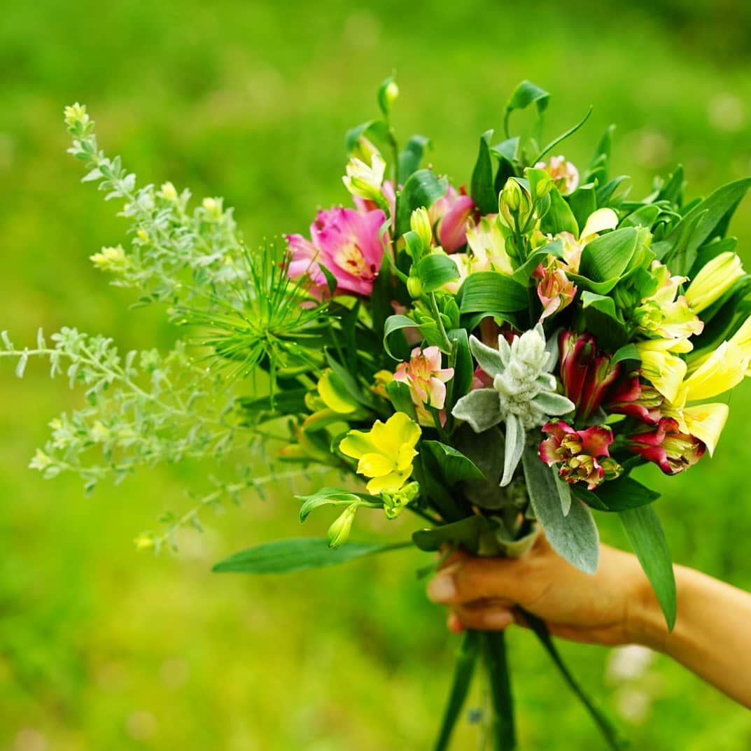 前田有紀さんのインスタグラム写真 - (前田有紀Instagram)「野菜や食材でも、作り手の思いが伝わってくるものが好き。同じことをお花でいつかしてみたい。農園からお花を直送でお届けしてみたい。 . それは、花の仕事を志した時からずっと叶えたかった夢の一つでした。 今週末から期間限定で片桐花卉園さんのアルストロメリアや農園の草花をお届けしています。長野県伊那市の大自然の中で育まれたスクスク育ったお花たち。届いて箱を開けると、本当にシャキッとしていて思わず笑顔になってしまうお花たちです。 先週はお知らせからすぐに完売してしまいましたので、もっと多くの方にお届けできるように23日土曜日到着の枠もお作りしました。（送料無料でのお届けです！） 初回お届けした皆さまは無事にお手元に届いたでしょうか？ . 片桐さん農園から直接お届けするので、梱包の仕様はいつもと違ったり、特別なラッピングは難しいのですが、ご自宅で飾りたい！という方にはおすすめです。 また、guiからは、このカラフルなお花をイメージしたヘアアクセサリーをおつけしています♪ . @gui.flower  @katagiri_akihito  #guiflower」5月17日 6時50分 - yukimaeda0117