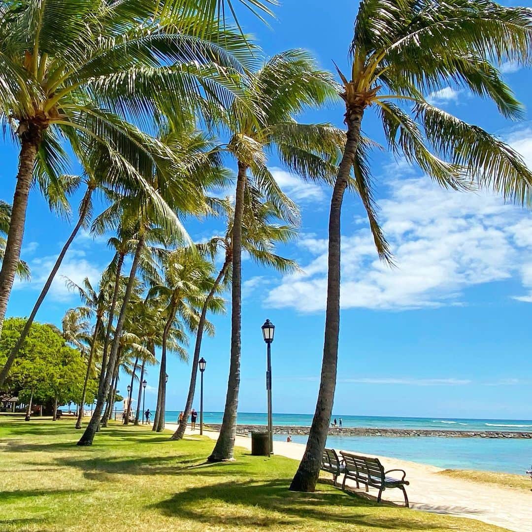 マキ・コニクソンさんのインスタグラム写真 - (マキ・コニクソンInstagram)「最近のハワイは毎日が晴天なぁり！😎この気候に救われてる=ハワイに救われてます！ Hawaii makes me happy! 😊 Mahalo Hawaii!!🙏🏻 今日のMELは☝🏼 前にお勉強したMake 〜 “〜させる”と Let 〜 “〜させる”の違いを完全にクリアにしましょう！✍🏻 Make +人(動詞の原型か形容詞がきます)人をその状態にさせる場合と強要する場合に使います！ let +人(動詞の原型) 〜の許可を求める場合と〜を許可する場合に使います！ 例文は！☝🏼 Please make me speak English very well. “英語をうまく話せるようにして下さい！” I will make you speak English very well! “ 私があなたを英語を上手く話せるようにしてあげる！” Hawaiian music makes me feel relaxed. “ハワイの音楽は私を和ませてくれる/癒してくれる” Please don’t make me eat vegetables. I hate it!! “嫌いなんだから野菜を(無理やり)食べさせないで！” Your speech made me cry. “あなたのスピーチに泣かされた” Thinking of Hawaii makes me happy! “ハワイの事を考えるとハッピーになる” ニュアンス分かりますか？ Let me think. “考えさせてー” I will let you think about it. “その事について考えさせてあける！” Please let me drive your car. “あなたの車を運転させてー” I will let you drive my car. “私の車運転させてあげるー” Let me pay for the check today. “今日は伝票支払わせてー” “今日はおごらせてー” No No I can’t let you pay. “ダメダメあなたに支払わす事は出来ないよー” I will pay for it. “私が払うって！” I will let you answer the question. “その質問に答えさせてあげる！” Please let us get married. “私達を結婚させて下さい” Mommy!! Please let me play the video game!! “ママー! ビデオゲームで遊ばせて”よく子供がママにお願いしてる言い方！ 使い方の違いが分かりました？ どんどん使ってみて英語を自分のものにしましょう！訳し方もかたにハマった訳し方ではなく自分がわかりやすく訳しましょう！それが上手くなるコツです！☝🏼 #エアハワイ🌺  #makisenglishlesson #今朝の朝のお散歩道も気持ちよかった！」5月17日 7時13分 - makikonikson