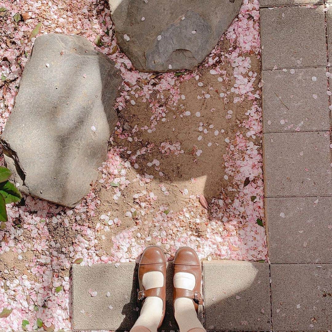 ユンジュさんのインスタグラム写真 - (ユンジュInstagram)「행복하기 🌷🌷🌷」5月16日 22時23分 - __pink_tape