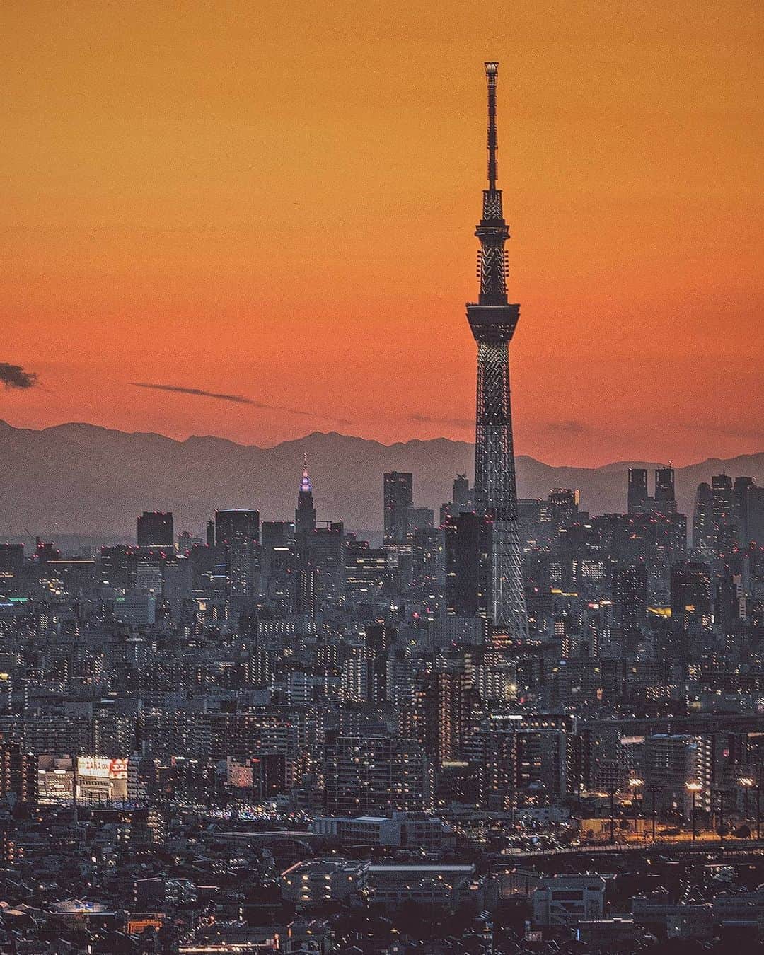 Berlin Tokyoさんのインスタグラム写真 - (Berlin TokyoInstagram)「Spring dusk gently defines Tokyo’s skyline. . . . #hellofrom #tokyo #japan」5月16日 22時57分 - tokio_kid