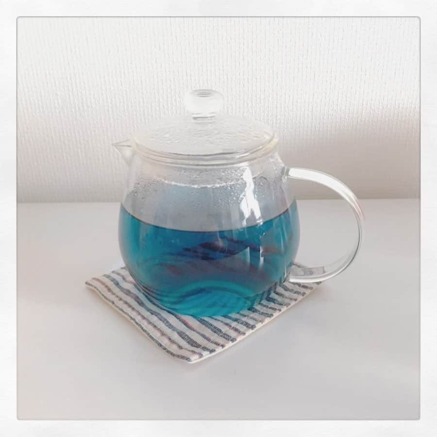 石崎佳代子さんのインスタグラム写真 - (石崎佳代子Instagram)「☕️ お茶の時間〜3日目 【バタフライピー】 . 海外土産のお茶でくくり、 最終日の今日は文字通りの 色モノにしてみました😆 . ローランド様ご愛飲の青いお茶として 一躍有名になったバタフライピー。 豆科の植物だそうです。 . 義母からのタイ土産🇹🇭 透き通る青色が、レモンを垂らすと 左のようなピンクに変わります。 . 味は・・・ナイ。 香りも・・・ナイ。無味無臭。 でも、色がサッと変わる様子は 化学実験のようでとっても楽しい😆 それで良いじゃあないか‼️ . 3日間のお茶一服リレー、楽しかったです。 みっちー@michiyomikage  誘ってくれてありがとう‼️😄 次はセントフォースのハンサムな先輩、 手仕事の作品も素敵なさとちゃんこと 長久保さとこさん@satoko.toricot_theへ 回します😄 =============== 《3日間一服リレー》 ・3日間（連続でなくてもOK) お茶時間の画像をアップ ・お茶の種類は問いません。 コーヒーでも紅茶でも ・道具やお茶、お菓子の解説や近況は ご自由に（画像だけでもOK） ・1投稿ごとにFacebook友達に バトンを繋ぎます。 受け取った人はスルーしてもOKです。 #3日間一服リレー #3daysteatime  #not_drink_tea_alone  紹介される方をタグ付けし 点線以下をコピペして投稿してください。 ご発案は朝日焼の松林豊斎氏です。 =============== #not_drink_tea_alone #3日間一服リレー#3daysteatime #お茶一服バトン #おうちカフェ #ティータイム　#おやつタイム #おやつ時間　#お茶の時間 #お茶のある暮らし #タイ土産 #おうち時間を楽しもう #暮らしを楽しむ　#バタフライピー　#青いお茶　#ローランド様」5月16日 23時03分 - kayoko_ishizaki