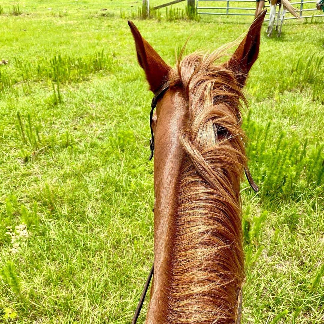 ジェイムズ・バーバーさんのインスタグラム写真 - (ジェイムズ・バーバーInstagram)「It was a really great morning. 🐎 ... ... #equestrian #outside #ride #success #run #jump #horse #ranch #selfsustainable #offthegrid #freedom」5月17日 3時19分 - jamesbarbournow