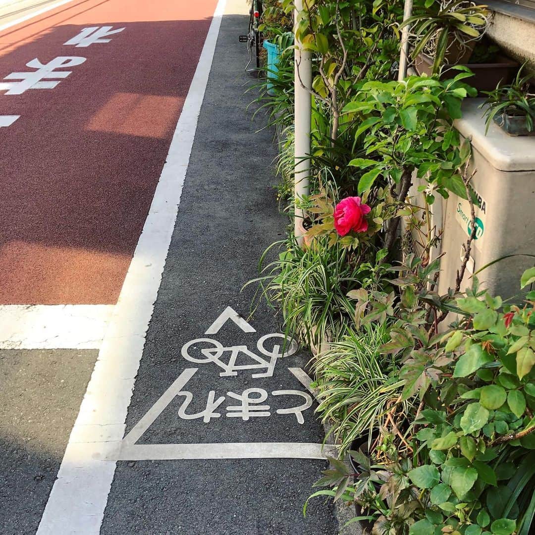岡田育さんのインスタグラム写真 - (岡田育Instagram)「Stop Sign 🚲🌹🚲 とまれ」5月17日 9時09分 - okadaic
