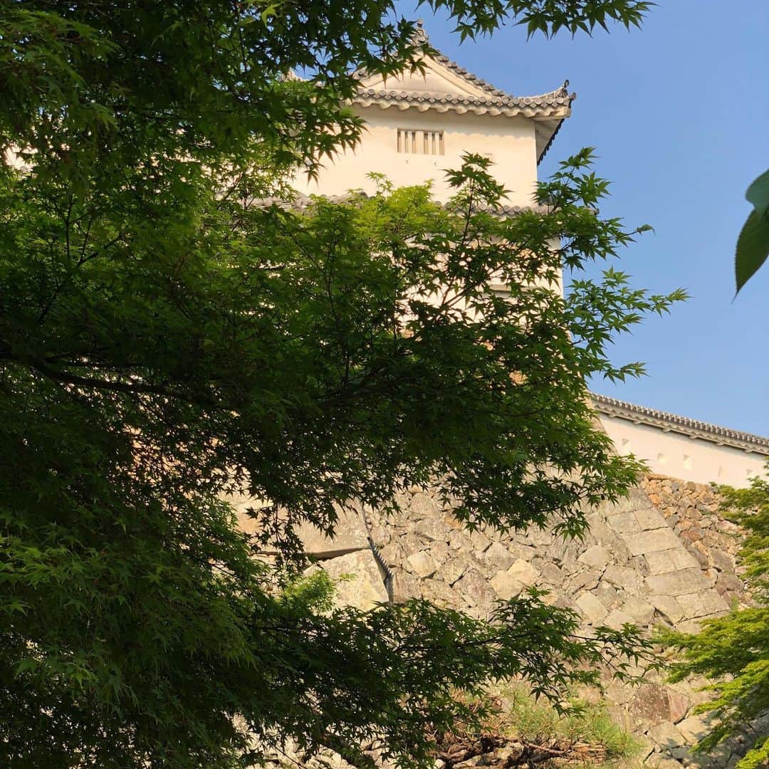 ヨネスケさんのインスタグラム写真 - (ヨネスケInstagram)「姫路城。やはり荘厳な雰囲気ですね。 #姫路城#兵庫県#お城#白鷺城」5月17日 9時12分 - yonesuke5656