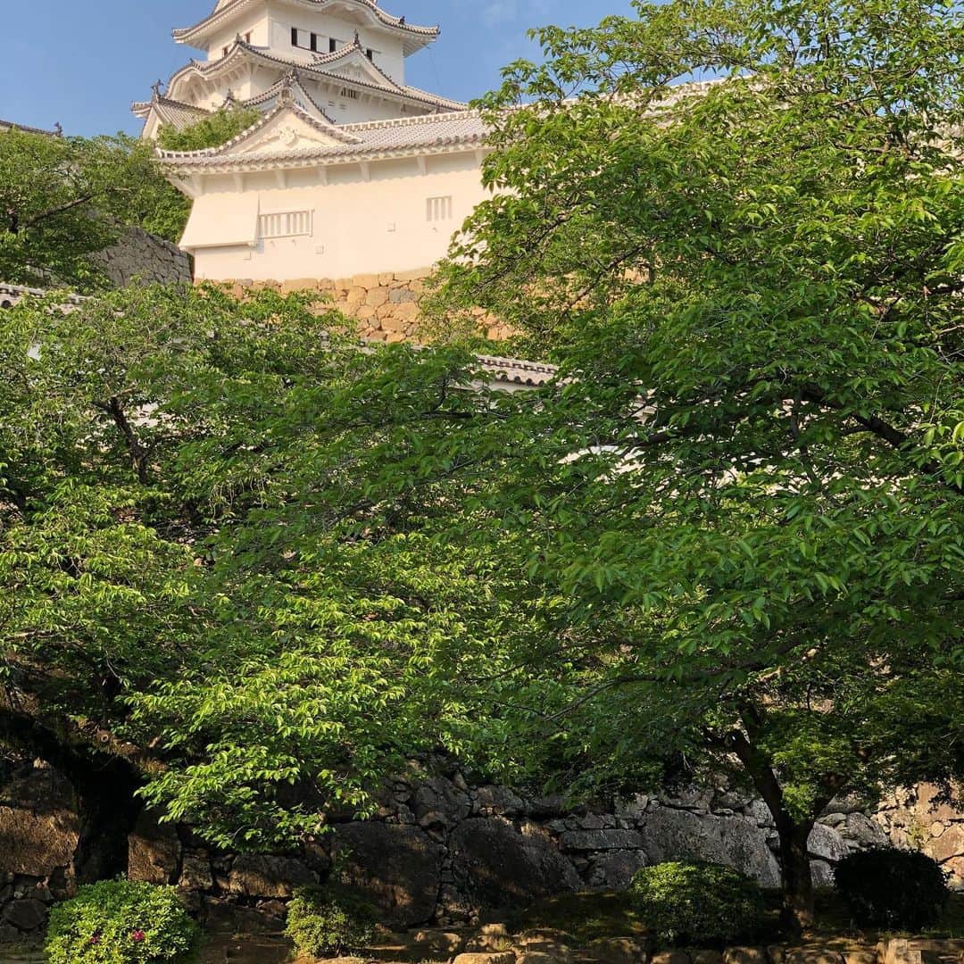 ヨネスケさんのインスタグラム写真 - (ヨネスケInstagram)「姫路城。やはり荘厳な雰囲気ですね。 #姫路城#兵庫県#お城#白鷺城」5月17日 9時12分 - yonesuke5656