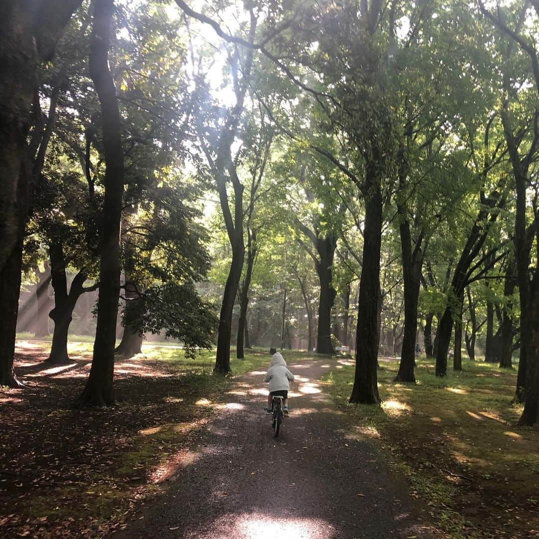 市川海老蔵 （11代目）さんのインスタグラム写真 - (市川海老蔵 （11代目）Instagram)「The month of May had always been “Dan-Giku-Sai” performance at the Kabukiza Theatre ever since childhood.  As long as I can recall, this has been my first time to be able to see the green leaves of this season. * いつも５月は 歌舞伎座で團菊祭 子供の頃からずっと。  この季節の緑を見れる事 物心ついてから 初めてです。  #市川海老蔵 #海老蔵 #成田屋 #歌舞伎 #ABKAI #ABMORI #ebizoichikawa #ebizo #kabuki #thunderparty #theater #theaterarts #actor #japan #classic」5月17日 9時27分 - ebizoichikawa.ebizoichikawa