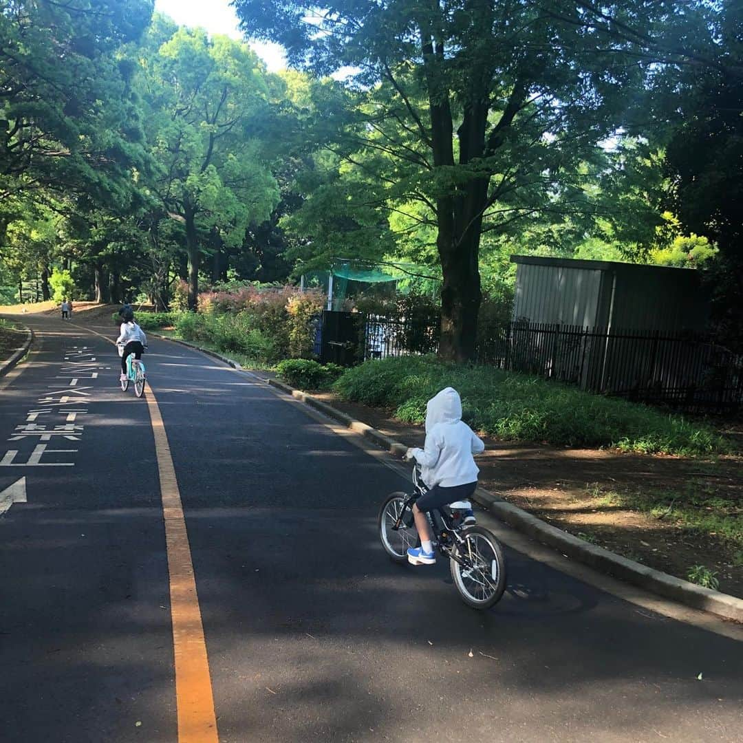 市川海老蔵 （11代目）さんのインスタグラム写真 - (市川海老蔵 （11代目）Instagram)「The month of May had always been “Dan-Giku-Sai” performance at the Kabukiza Theatre ever since childhood.  As long as I can recall, this has been my first time to be able to see the green leaves of this season. * いつも５月は 歌舞伎座で團菊祭 子供の頃からずっと。  この季節の緑を見れる事 物心ついてから 初めてです。  #市川海老蔵 #海老蔵 #成田屋 #歌舞伎 #ABKAI #ABMORI #ebizoichikawa #ebizo #kabuki #thunderparty #theater #theaterarts #actor #japan #classic」5月17日 9時27分 - ebizoichikawa.ebizoichikawa