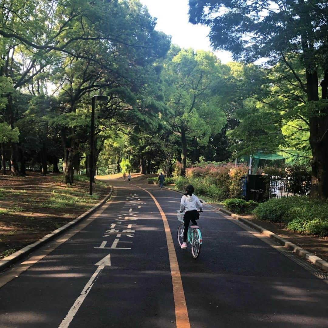 市川海老蔵 （11代目）さんのインスタグラム写真 - (市川海老蔵 （11代目）Instagram)「The month of May had always been “Dan-Giku-Sai” performance at the Kabukiza Theatre ever since childhood.  As long as I can recall, this has been my first time to be able to see the green leaves of this season. * いつも５月は 歌舞伎座で團菊祭 子供の頃からずっと。  この季節の緑を見れる事 物心ついてから 初めてです。  #市川海老蔵 #海老蔵 #成田屋 #歌舞伎 #ABKAI #ABMORI #ebizoichikawa #ebizo #kabuki #thunderparty #theater #theaterarts #actor #japan #classic」5月17日 9時27分 - ebizoichikawa.ebizoichikawa