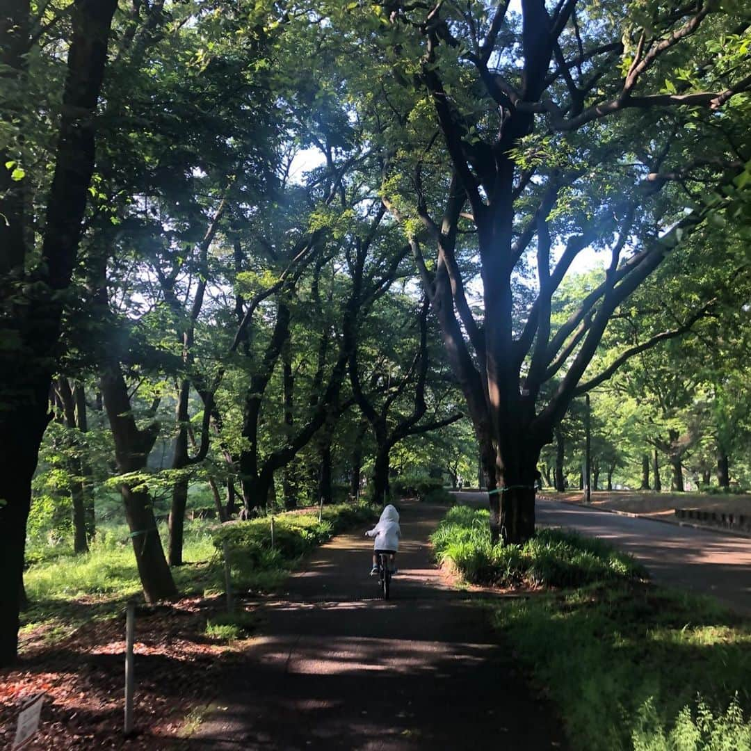 市川海老蔵 （11代目）さんのインスタグラム写真 - (市川海老蔵 （11代目）Instagram)「The month of May had always been “Dan-Giku-Sai” performance at the Kabukiza Theatre ever since childhood.  As long as I can recall, this has been my first time to be able to see the green leaves of this season. * いつも５月は 歌舞伎座で團菊祭 子供の頃からずっと。  この季節の緑を見れる事 物心ついてから 初めてです。  #市川海老蔵 #海老蔵 #成田屋 #歌舞伎 #ABKAI #ABMORI #ebizoichikawa #ebizo #kabuki #thunderparty #theater #theaterarts #actor #japan #classic」5月17日 9時27分 - ebizoichikawa.ebizoichikawa