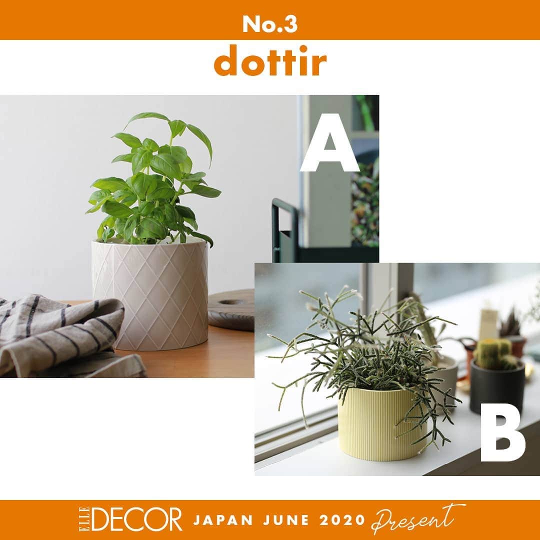 ELLE DECOR JAPANさんのインスタグラム写真 - (ELLE DECOR JAPANInstagram)「#エルデコと植物を楽しもう プレゼントキャンペーン! コメントして応募しよう🌿  デンマークで2008年に設立された磁器ブランド、dottirのフラワーポットMサイズとLサイズを各2名様ずつプレゼント。自然からインスピレーションを得たデザインと優しい色合いが、植物をさりげなく彩ってくれる。「ピパネラ フラワーポット」 A：グレイ Mサイズ（φ11.2×H9.8㎝）￥5,000　B：イエロー Lサイズ(φ12.5×H10㎝)￥6,000（共に税抜） ＊コメントにAかB、どちらか希望するアイテムをお書きください。賞品に植物は付属しません。 . . 【応募期間】 5月31日（日）まで . 【プレゼント応募方法﻿】 STEP 1. エル・デコ日本版のインスタグラムアカウント @elledecorjapan をフォロー﻿ STEP 2. 5/15（金）からアップされる #エルデコと植物を楽しもう のハッシュタグがついたプレゼント募集ポストの中から、応募したいものにコメント。希望のアイテムのほか、お気に入りのポイントや、どんなふうに使いたいかも、ぜひコメントでお聞かせください🌿 抽選で対象のアイテムをプレゼント！  応募詳細および個人情報取り扱いについての5/14（木）のポストをご確認のうえご応募ください。  Special thanks! @kozlife_tokyo  #elledecor #elledecorjapan #エルデコ #livingwithgreen #flower #green #植物と暮らしたい #植物特集 #グリーン特集 #花のある暮らし #植物のある暮らし #グリーンのある暮らし #花好きと繋がりたい #植物 #グリーン #プレゼント企画 #プレゼント #プレゼント応募 #プレゼントキャンペーン #フラワーベース #植木鉢  #プラントポット #おうち時間充実 #おうちで過ごそう #kozlife #kozlifetokyo #dottir」5月17日 9時59分 - elledecorjapan
