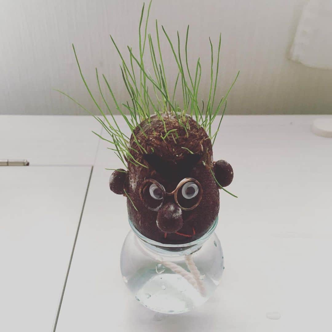 大森美優のインスタグラム：「ボブちゃま…！！🌱顔からも」