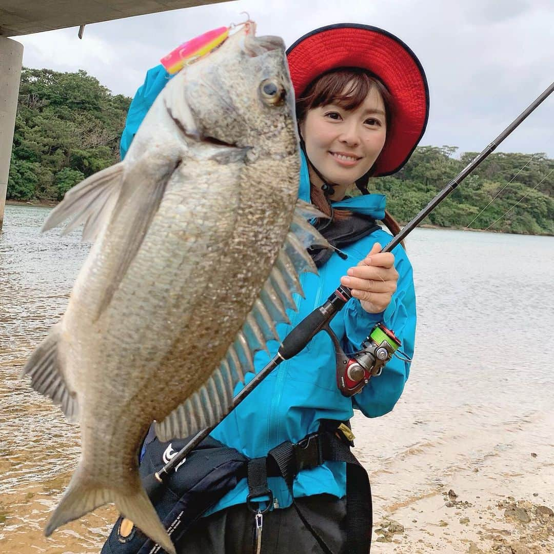 井上直美さんのインスタグラム写真 - (井上直美Instagram)「昨年11月に久米島に行ってきました♪向こうでしか釣れない黒鯛みたいです。黒鯛なのに凄く白かったw クロダイポッパー好き♡ 詳しくはYouTubeハニスポ動画をみてねん。 https://youtu.be/5mo14l0bti8  #釣り　#釣りガール　#黒鯛　#クロダイ　#チヌ　#久米島　#陸っぱり　#遠征　#ハニスポ　#釣りともなお珍道厨　#YouTube  #釣り動画　#テイルウォーク　#マイクロゲーマー　#釣り好きな人と繋がりたい 　#井上直美」5月17日 10時15分 - naochingyo