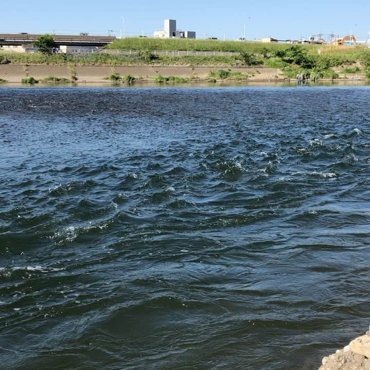 亀田誠治のインスタグラム：「今朝の東京は夏の匂いがしました。😌」