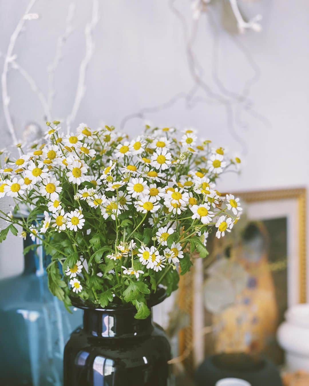 上原歩さんのインスタグラム写真 - (上原歩Instagram)「今日もお花の水やりから🌼🦩 無意識で買ったお花は白・黄色・オレンジ・緑のトーン🌿 晴れてるだけで気持ち良いスタート ・ #love #life #flowers #はなのあるくらし」5月17日 11時17分 - ayumiuehara