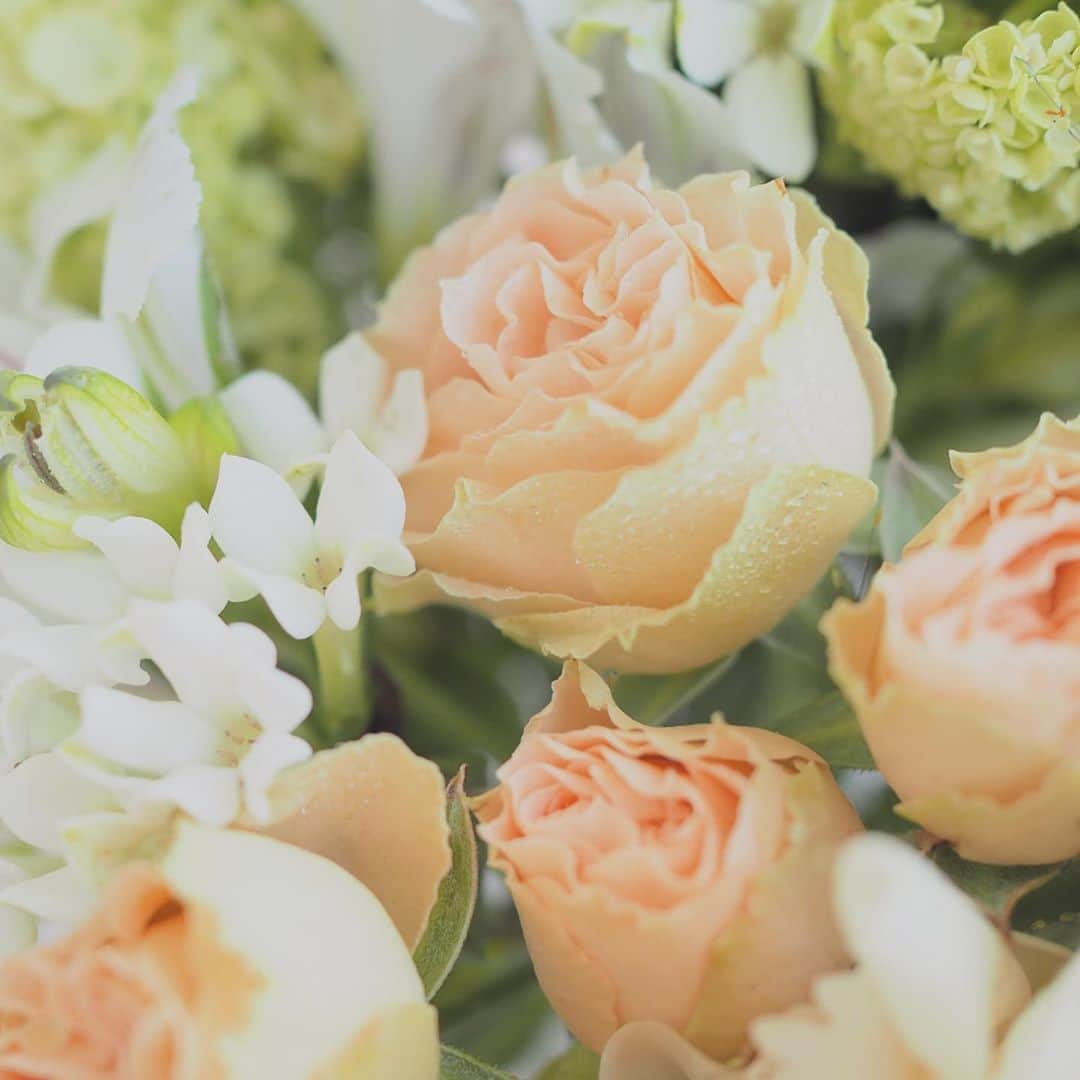 田中亜希子さんのインスタグラム写真 - (田中亜希子Instagram)「友達から素敵なギフト。  花が生活を彩り、心を癒し豊かにしてくれます。  眺める時間がたくさんあるのもありがたいです。  嬉しい😊 ありがとう♡  今日も穏やかに過ごしましょう！  @exflowershop  #花#flowers」5月17日 11時37分 - akiico