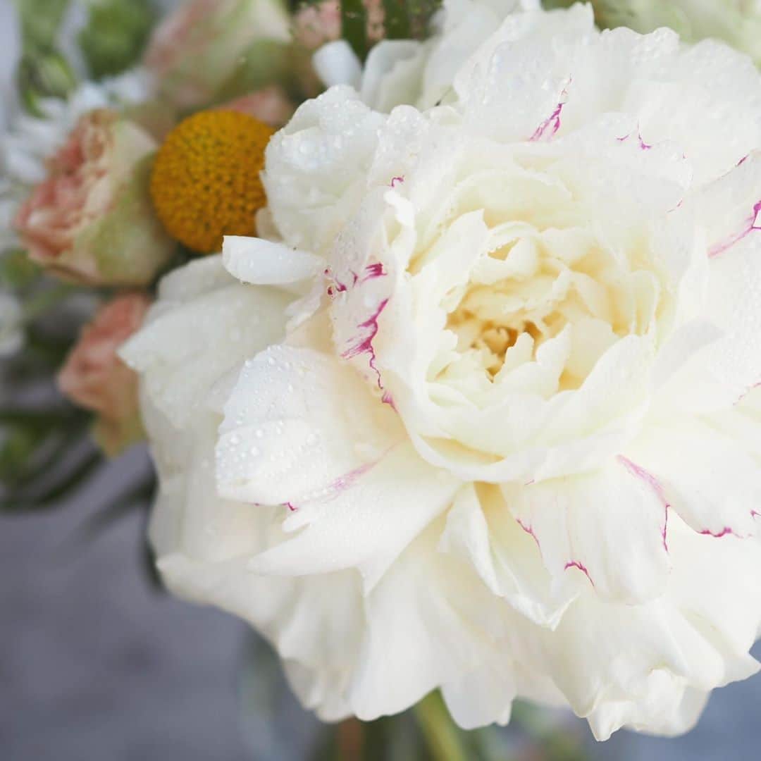 田中亜希子さんのインスタグラム写真 - (田中亜希子Instagram)「友達から素敵なギフト。  花が生活を彩り、心を癒し豊かにしてくれます。  眺める時間がたくさんあるのもありがたいです。  嬉しい😊 ありがとう♡  今日も穏やかに過ごしましょう！  @exflowershop  #花#flowers」5月17日 11時37分 - akiico