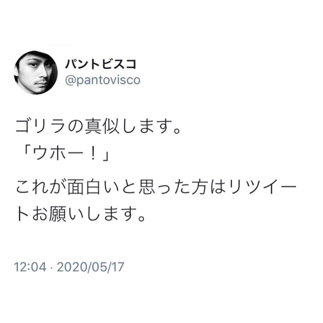 pantoviscoさんのインスタグラム写真 - (pantoviscoInstagram)「さっきこのツイートをしたら、友達とお仕事関係の方から同時に「大丈夫ですか？」と連絡がきました。 大丈夫です。  #むしろ絶好調 #T寧な暮らし #パントビスコツイッター」5月17日 12時14分 - pantovisco