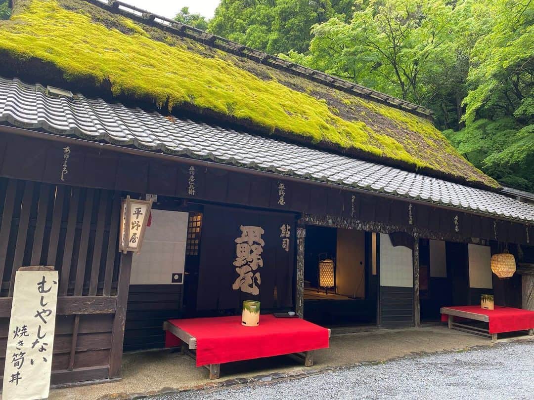 佐野優子のインスタグラム：「. 奥嵯峨にある平野屋さんへ🌳 . 桜餅のお持ち帰りしました🛍 . 早くお店でゆっくり食べたいなぁ😌 . #京都グルメ  #kyoto #平野屋 #むしやしない　→軽く小腹を満たす事。 #さくらもち」