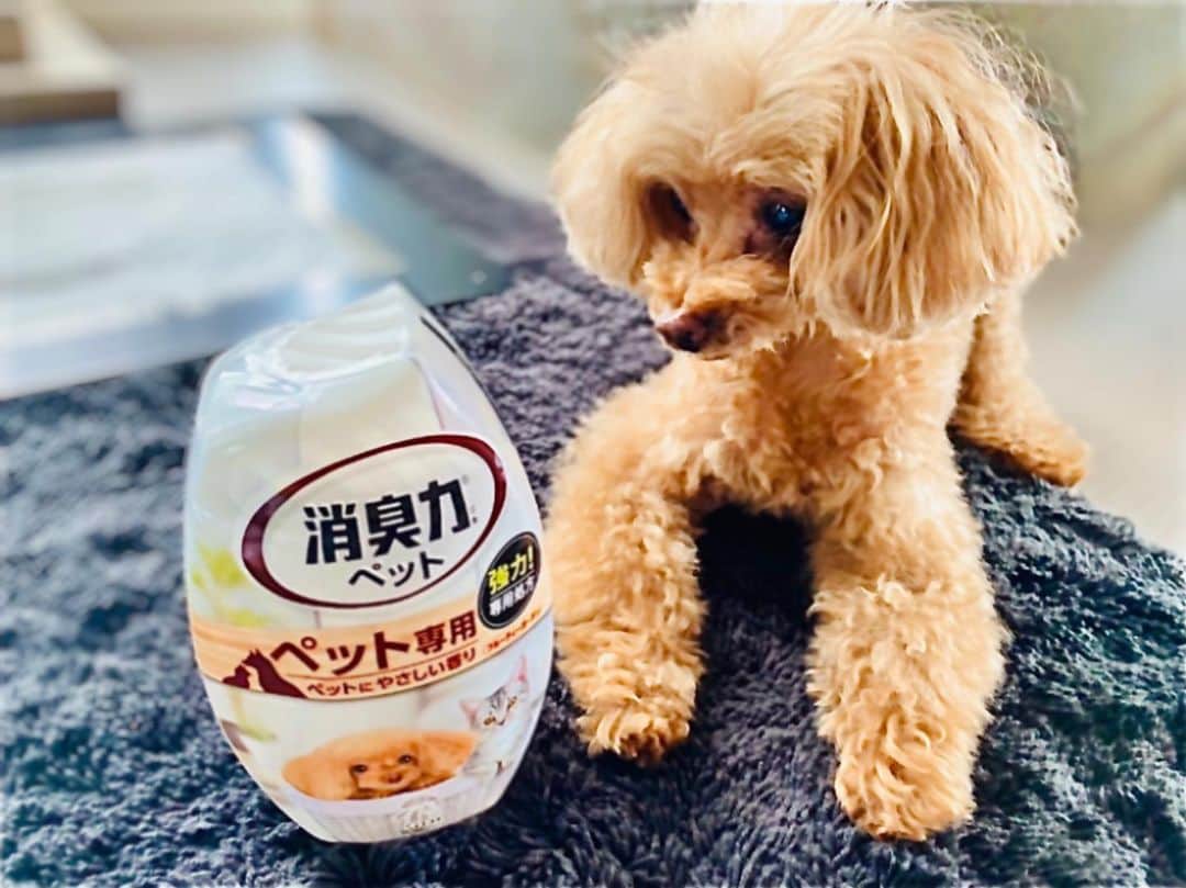 西川貴教のインスタグラム：「What’s up, buddy?」