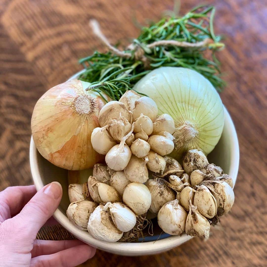 エミリー・デ・レイヴィンさんのインスタグラム写真 - (エミリー・デ・レイヴィンInstagram)「This bowl makes me smile 😊 all of it, but mostly the freshly dug up, still with soil from our beautiful earth garlic. I’m a MAJOR garlic lover- roasted, fried, raw, whatever! Oh & the health benefits are 💯 PLUS- no vampires will be getting anywhere near me!🤪#thelittlethings #localproduce #eatfresh #eathealthy P.S. I took this pic a few days ago, & forgot to post cos it was on Eric’s phone. now most of said garlic has gone bye bye 🤪🥰❤️🧄🧄🧄🧄🧄🧄🧄🧄🧄🧄🧄」5月17日 12時36分 - emiliede_ravin