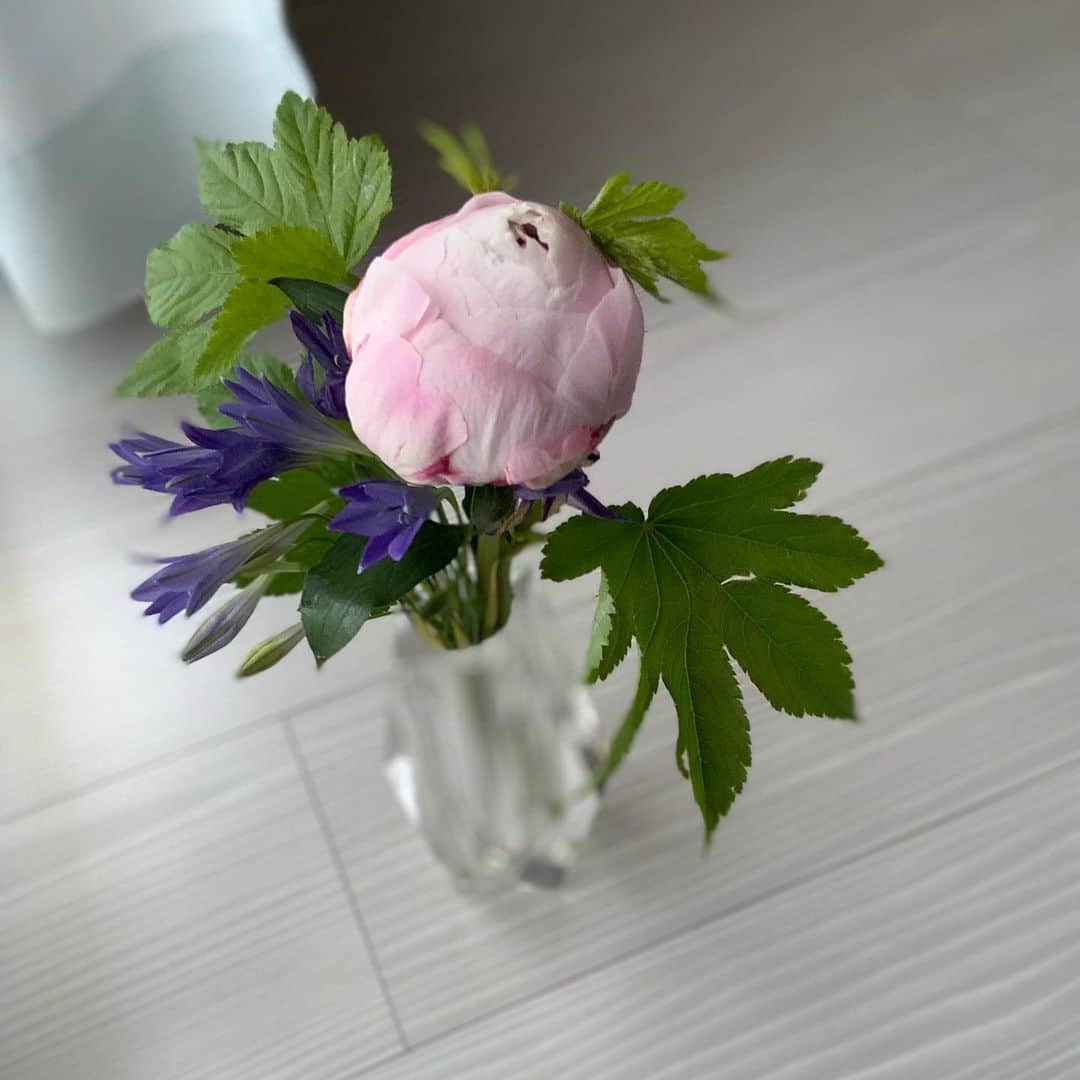 ウラクのインスタグラム：「【初回無料クーポンコード】を頂きましたので、検討中の方はぜひに。  お花が自宅ポストに届く、という @bloomeelife さんのすてきすぎるサービスです🌿  #芍薬　がぽってりしててかわいい。ムスメも気にいってます😀 . . ◆初回無料クーポンコード：ulaq ◆有効期限：2020年5月30日  おうちにお花があると気持ちが晴れますね🌷  #PR #bloomeelife #お花#おうち時間 #お花の定期便 #お花のサブスク」