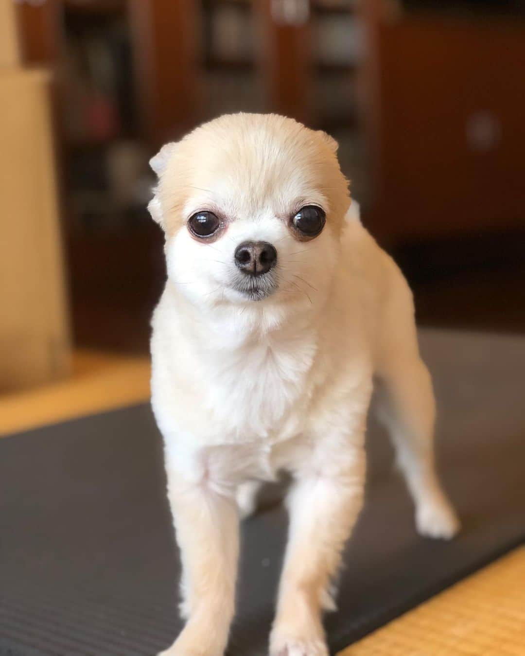 橋本塁のインスタグラム