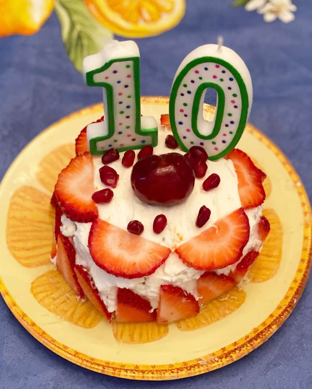 和央ようかさんのインスタグラム写真 - (和央ようかInstagram)「Made a birthday cake for Dondon 🎂🐶😘👍 どんどん🐶にワンちゃん用のバースデーケーキを作ってお祝いしたよ🎂🐶気持ちはいっぱい❤️🎂 #takakonystylin🍎 #nylife #lifestyle #i❤️ny #birthdaydog #birthdaycake #dondon🐶#どんどん🐶#chihuahua #チワワ #バースデードッグ#yokawao#和央ようか」5月17日 13時31分 - yokawao0215