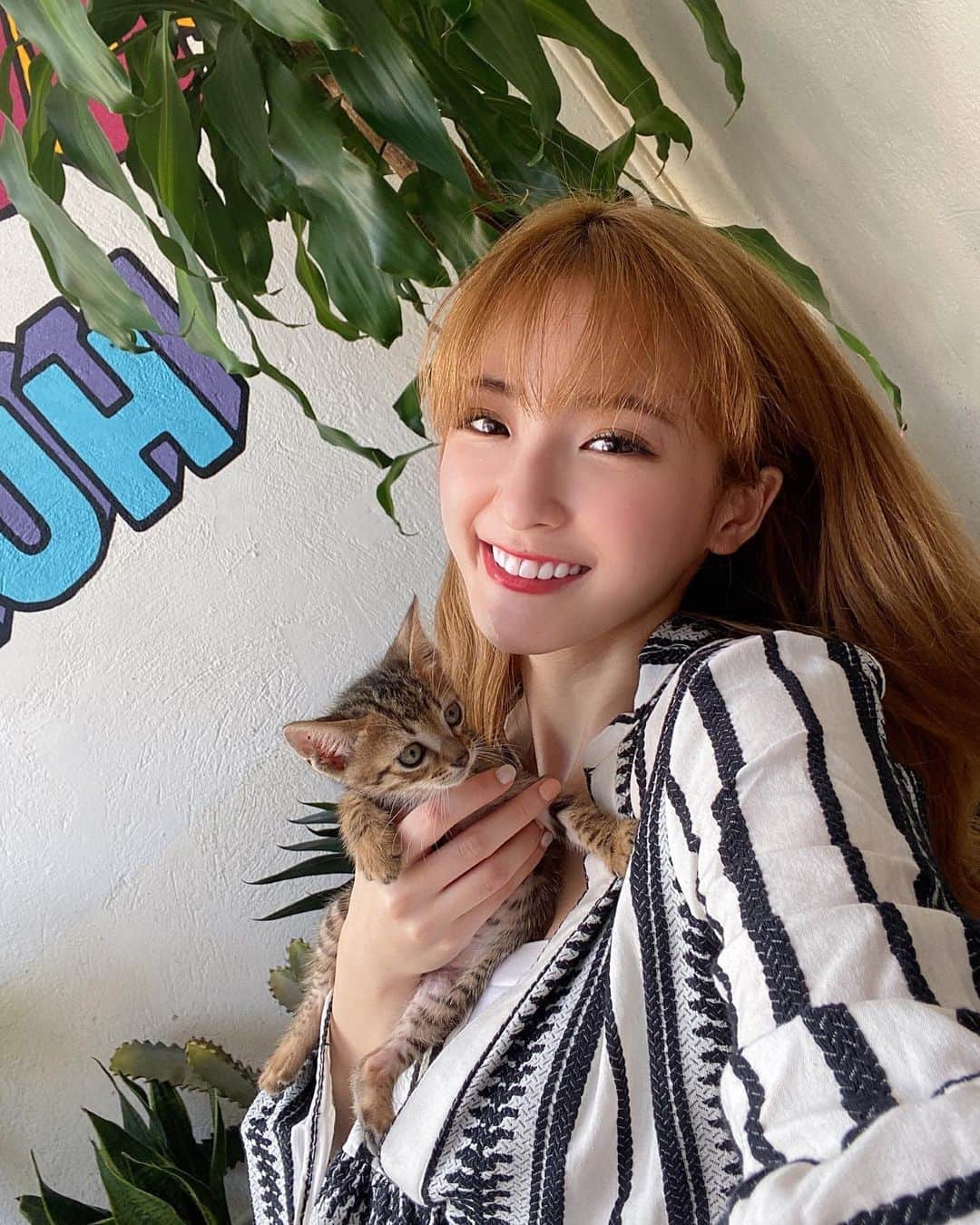 Giann Chanのインスタグラム：「1 Month Old  K I T T E N & C A F E 🤍  #hkcafe #mamaday #Kittens」