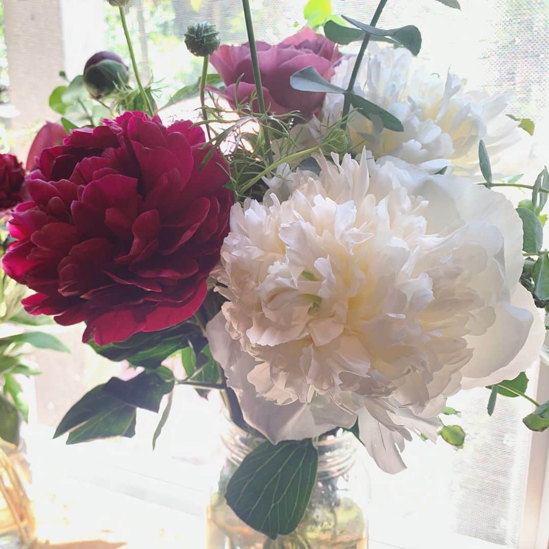 坂本美雨さんのインスタグラム写真 - (坂本美雨Instagram)「マイソウルマザー要一郎さん @yoichiro_aso 暮らしに、心に、彩りをありがとう。 いつも想っているよ…！ . @the.daffodils.flowershop」5月17日 14時30分 - miu_sakamoto