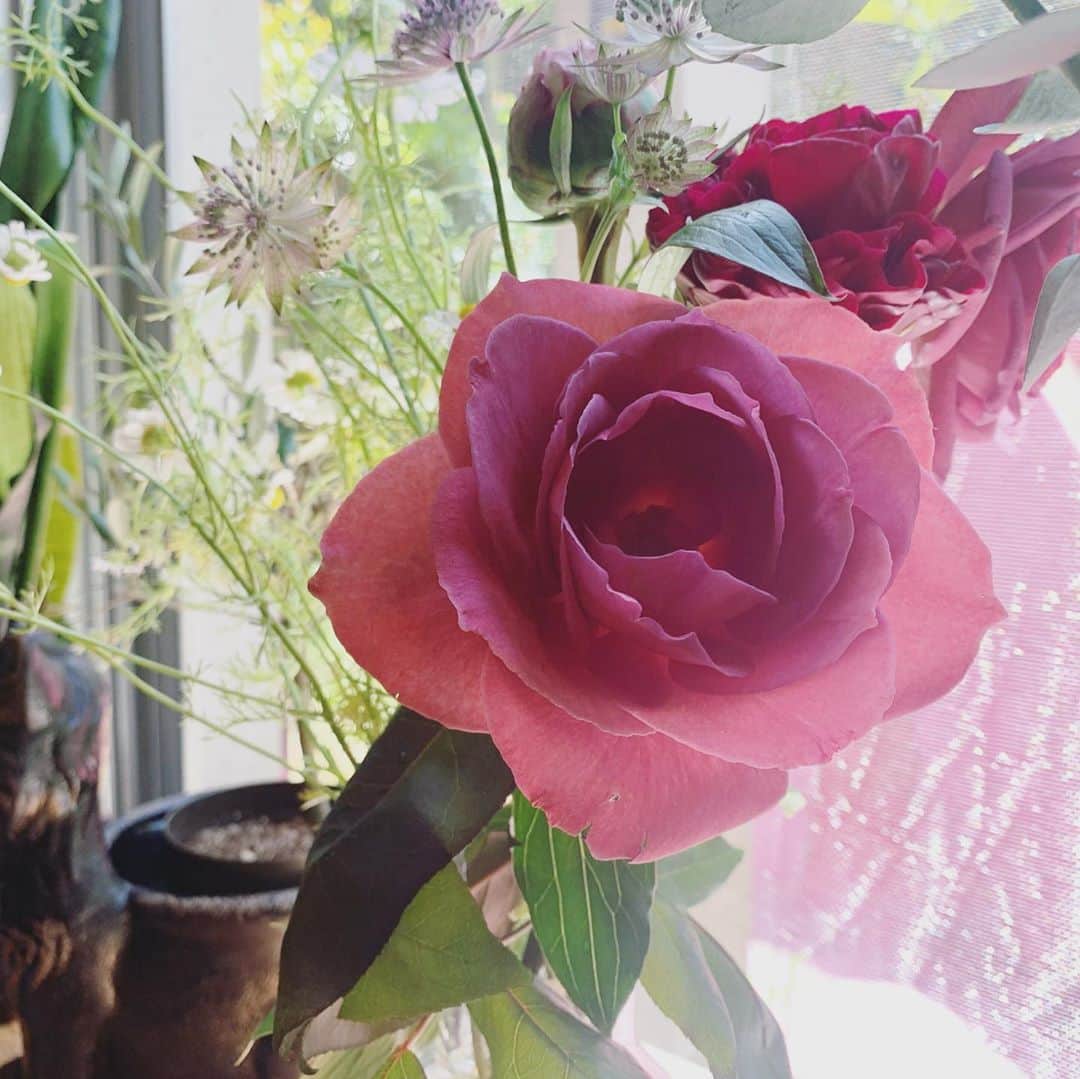 坂本美雨さんのインスタグラム写真 - (坂本美雨Instagram)「マイソウルマザー要一郎さん @yoichiro_aso 暮らしに、心に、彩りをありがとう。 いつも想っているよ…！ . @the.daffodils.flowershop」5月17日 14時30分 - miu_sakamoto