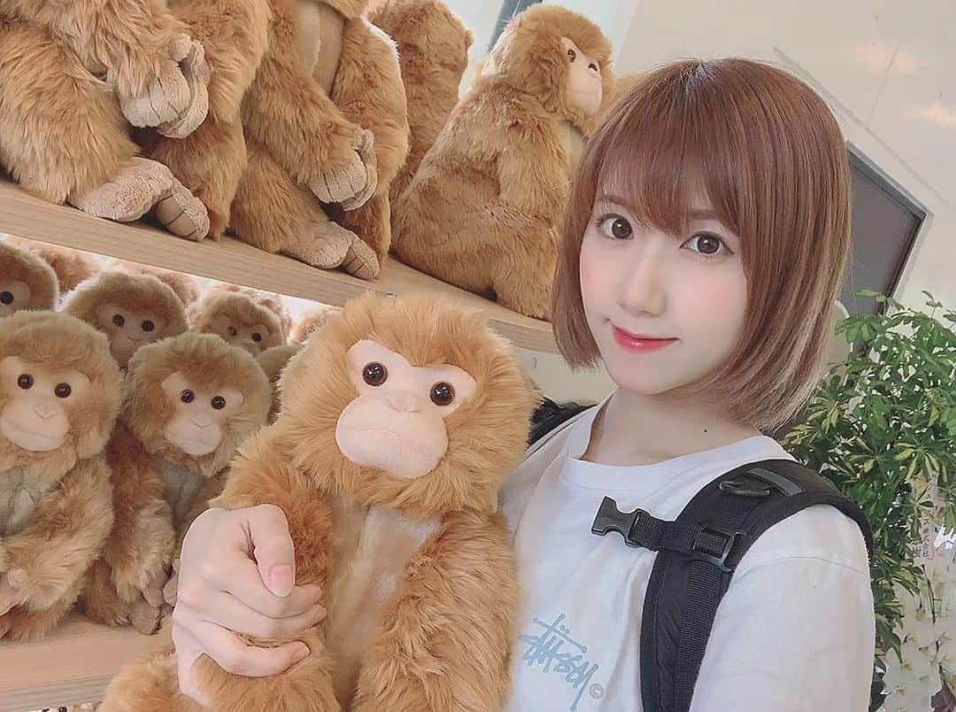 高松雪乃さんのインスタグラム写真 - (高松雪乃Instagram)「🐒🐒🐒🐒🐒🐒🐒🐒 #波勝崎モンキーベイ #波勝崎　#モンキーベイ　#日本猿　#ニホンザル」5月17日 14時38分 - yukinotakamatsu