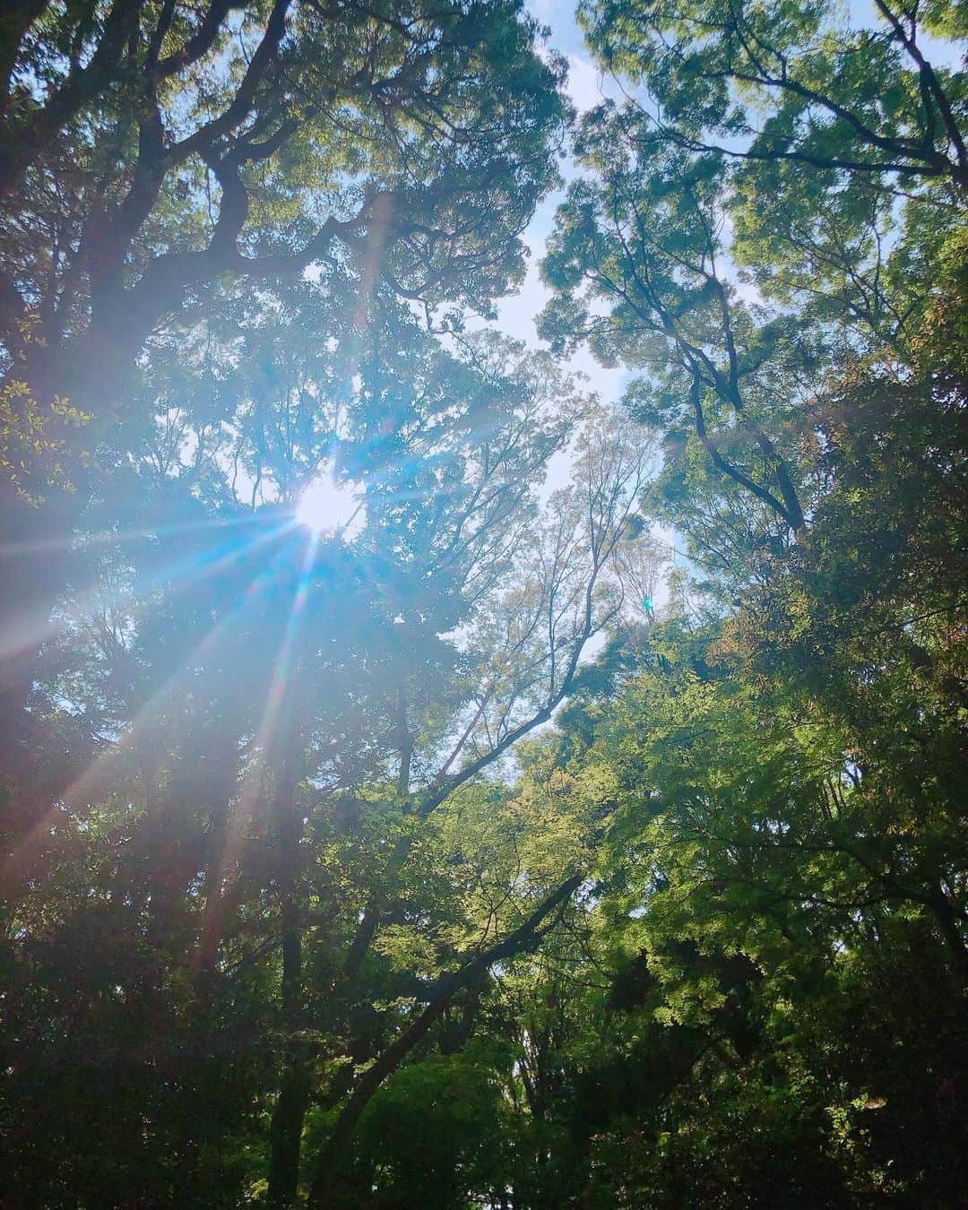 YU-RIのインスタグラム：「昨日は雨だったけど今日は 天気がいいね(⁎˃ᴗ˂⁎)！！！！ お散歩きもちー😘 #マイナスイオン」
