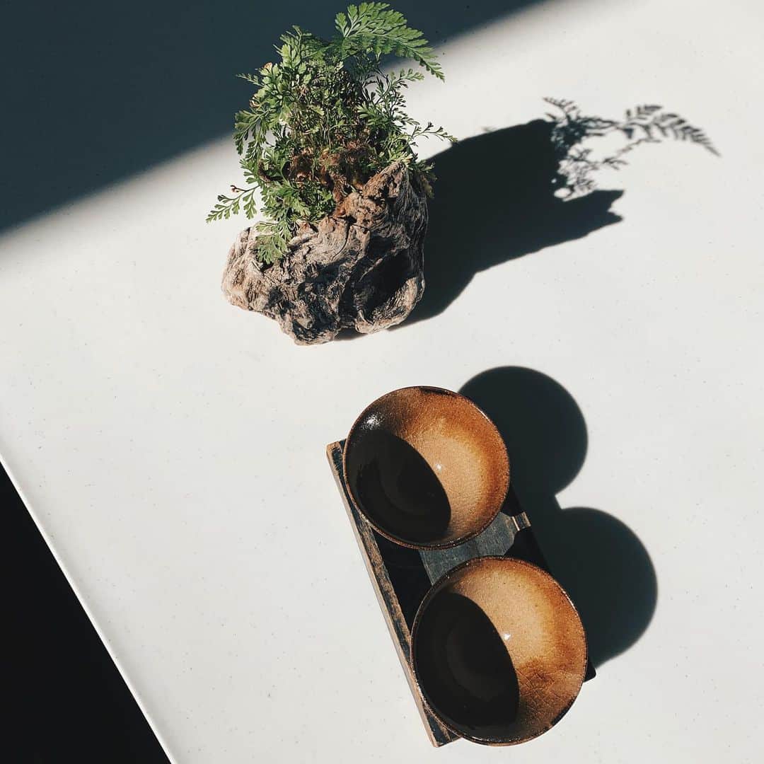 Hikaru Nakamuraさんのインスタグラム写真 - (Hikaru NakamuraInstagram)「わびさび。 これを鉢として利用するかインテリアとして置くだけか考えてる😌🌵 #インテリア#鉢#植物#アンティーク#ヴィンテージ」5月17日 17時30分 - hikarunosuke