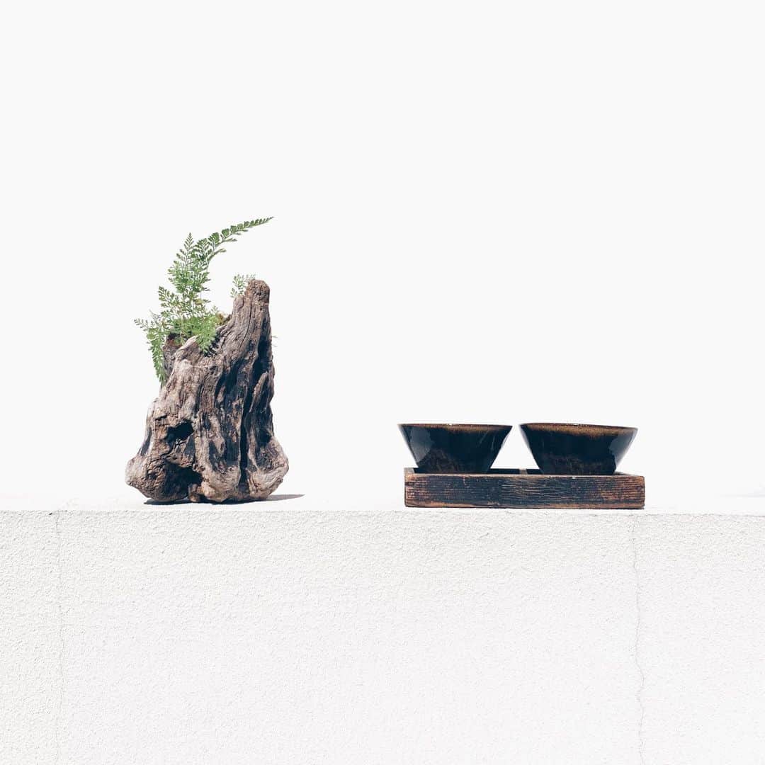Hikaru Nakamuraさんのインスタグラム写真 - (Hikaru NakamuraInstagram)「わびさび。 これを鉢として利用するかインテリアとして置くだけか考えてる😌🌵 #インテリア#鉢#植物#アンティーク#ヴィンテージ」5月17日 17時30分 - hikarunosuke
