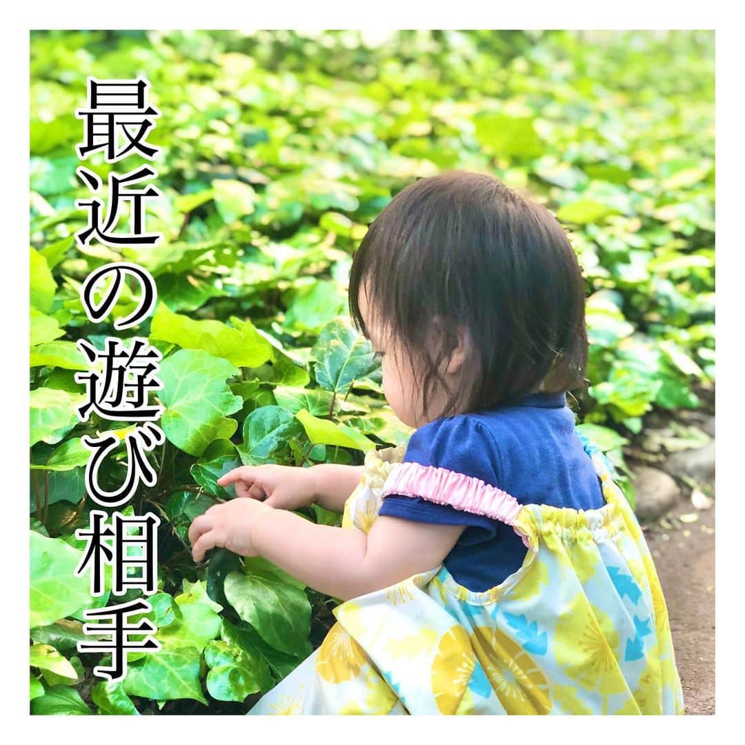 mamamizu.32のインスタグラム：「最近の遊び相手﻿ ﻿ ﻿ ﻿ すっかり自粛生活にも慣れ、人との距離感って﻿ どんなんだっけ？なんて思ってきているこの頃です〜﻿ 公園では5,6人集まってランチしてる方もいたり﻿ そろそろ自粛疲れもあるんだなぁと感じました🥺﻿ ﻿ ﻿ ゆっちゃんもお友達だいすきなのに、﻿ 公園ではソーシャルディスタンスが第一。﻿ 遊び相手は石か草か落ち葉です！🤣🤣﻿ でも大人と違って色々発見があるのか、﻿ ずっとあそんでいられるようです❣️﻿ ﻿ ﻿ 最近の写真folderが自然を相手に遊んでる姿しか﻿ ないので、載せる写真あまり無くて😂🙏🏻﻿ なので日常の動画などもあげたいと思います❣️﻿ ﻿ ﻿ ﻿ #ベビライフ#ままべび#rainbowmamababy#スマイル育児#たまひよベストショット#親バカ部ig_baby#コノビー#ママカメラ#子育てぐらむ#ベビフル#コドモノ #fammカメラ部#ママリ#ママタス#ハピベビ#ままのて#uptoyoume#コドモノ代弁#イットママ#キズナ#コズレ#fammカメラ部#赤ちゃんのいる生活#赤ちゃんのいる暮らし#赤ちゃんとの暮らし#1歳#女の子ママ#東京ママ#ソーシャルディスタンス」