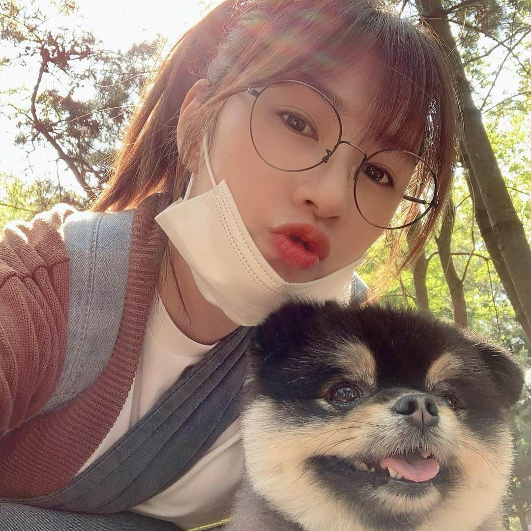 オ・ハヨンさんのインスタグラム写真 - (オ・ハヨンInstagram)「하빵이랑 오빵이랑🐶 #개는훌륭하다」5月17日 18時37分 - _ohhayoung_