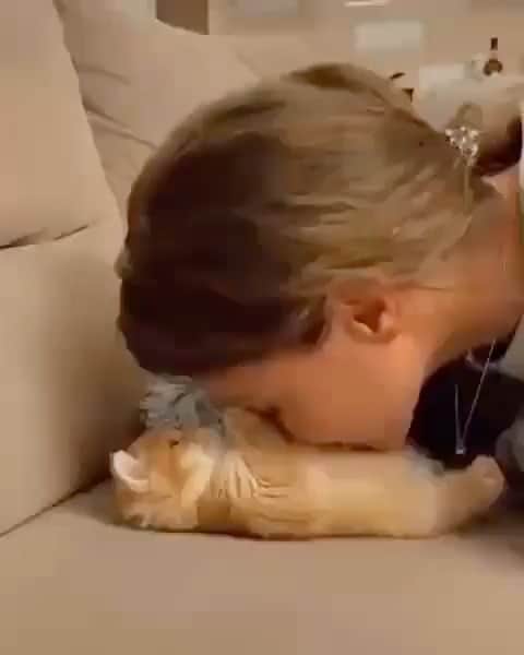 BeStylishのインスタグラム：「Cuteness overload ❤️🥺 By @kudelina_maru • #bestylish #cutecat #cuteanimal」