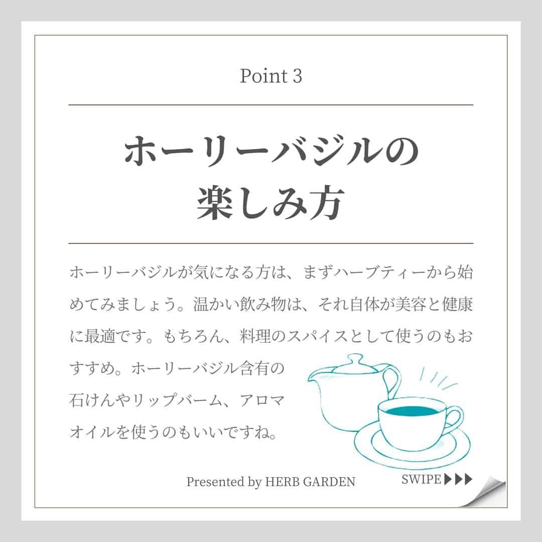 ハーブガーデン（さくらの森）公式さんのインスタグラム写真 - (ハーブガーデン（さくらの森）公式Instagram)「. 【実は簡単に使えるんですよ🍽️】 . 今回ご紹介する ボタニカルパワーの主役は 【ホーリーバジル】🌿 . 荘厳な印象の名前ですが 実は【あの料理】に入っている ハーブです☺️ . ハーブティーにも◎☕ . 体の内側から うるうるキレイになりたい方は ぜひこの投稿を読んでみてくださいね！ . （@herbgarden_organic） ====================== 【植物の力で美しさを取り戻す。美容やライフスタイル情報を発信中】 ・季節に合わせたスキンケア ・肌にいいボタニカルな食べ物 ・あなたにあったコスメの選び方 ・今人気の美容方法　など  #ハーブガーデンシャンプー をつけて投稿すると、 お写真を紹介させていただくことも。  詳しくは 【@herbgarden_organic】をご覧ください。 #シャンプー #ヘアケア #トリートメント #髪質改善 #オーガニック #コンディショナー #ノンシリコン #ハーブガーデン #頭皮ケア #美髪ケア #サラサラヘア #ダメージケア #美容好きと繋がりたい #ハーブのある暮らし #モテ髪 #髪質 #香りのある生活 #ノンシリコンシャンプー #ボタニカルシャンプー #キューティクル #ダメージケアにオススメ #美髪ケアトリートメント #ボタニカルシャンプーコンディショナー #ヘアケア難民 #ハーブシャンプーでサラサラ #ノンシリコンのハーブガーデン #ボタニカルシャンプーはハーブガーデン #ノンシリコンシャンプーはハーブガーデン #サラサラヘアにはハーブガーデン」5月17日 18時58分 - herbanience_official