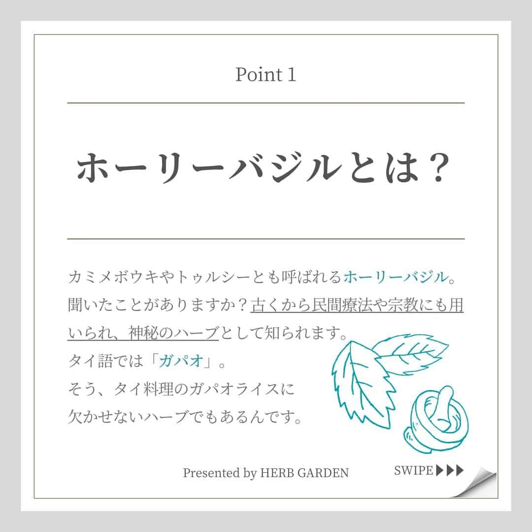 ハーブガーデン（さくらの森）公式さんのインスタグラム写真 - (ハーブガーデン（さくらの森）公式Instagram)「. 【実は簡単に使えるんですよ🍽️】 . 今回ご紹介する ボタニカルパワーの主役は 【ホーリーバジル】🌿 . 荘厳な印象の名前ですが 実は【あの料理】に入っている ハーブです☺️ . ハーブティーにも◎☕ . 体の内側から うるうるキレイになりたい方は ぜひこの投稿を読んでみてくださいね！ . （@herbgarden_organic） ====================== 【植物の力で美しさを取り戻す。美容やライフスタイル情報を発信中】 ・季節に合わせたスキンケア ・肌にいいボタニカルな食べ物 ・あなたにあったコスメの選び方 ・今人気の美容方法　など  #ハーブガーデンシャンプー をつけて投稿すると、 お写真を紹介させていただくことも。  詳しくは 【@herbgarden_organic】をご覧ください。 #シャンプー #ヘアケア #トリートメント #髪質改善 #オーガニック #コンディショナー #ノンシリコン #ハーブガーデン #頭皮ケア #美髪ケア #サラサラヘア #ダメージケア #美容好きと繋がりたい #ハーブのある暮らし #モテ髪 #髪質 #香りのある生活 #ノンシリコンシャンプー #ボタニカルシャンプー #キューティクル #ダメージケアにオススメ #美髪ケアトリートメント #ボタニカルシャンプーコンディショナー #ヘアケア難民 #ハーブシャンプーでサラサラ #ノンシリコンのハーブガーデン #ボタニカルシャンプーはハーブガーデン #ノンシリコンシャンプーはハーブガーデン #サラサラヘアにはハーブガーデン」5月17日 18時58分 - herbanience_official