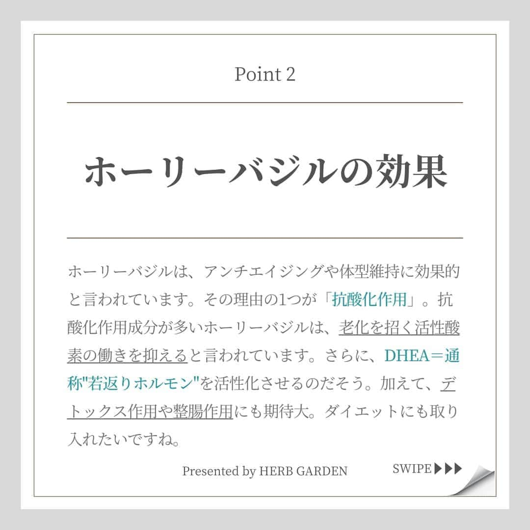 ハーブガーデン（さくらの森）公式さんのインスタグラム写真 - (ハーブガーデン（さくらの森）公式Instagram)「. 【実は簡単に使えるんですよ🍽️】 . 今回ご紹介する ボタニカルパワーの主役は 【ホーリーバジル】🌿 . 荘厳な印象の名前ですが 実は【あの料理】に入っている ハーブです☺️ . ハーブティーにも◎☕ . 体の内側から うるうるキレイになりたい方は ぜひこの投稿を読んでみてくださいね！ . （@herbgarden_organic） ====================== 【植物の力で美しさを取り戻す。美容やライフスタイル情報を発信中】 ・季節に合わせたスキンケア ・肌にいいボタニカルな食べ物 ・あなたにあったコスメの選び方 ・今人気の美容方法　など  #ハーブガーデンシャンプー をつけて投稿すると、 お写真を紹介させていただくことも。  詳しくは 【@herbgarden_organic】をご覧ください。 #シャンプー #ヘアケア #トリートメント #髪質改善 #オーガニック #コンディショナー #ノンシリコン #ハーブガーデン #頭皮ケア #美髪ケア #サラサラヘア #ダメージケア #美容好きと繋がりたい #ハーブのある暮らし #モテ髪 #髪質 #香りのある生活 #ノンシリコンシャンプー #ボタニカルシャンプー #キューティクル #ダメージケアにオススメ #美髪ケアトリートメント #ボタニカルシャンプーコンディショナー #ヘアケア難民 #ハーブシャンプーでサラサラ #ノンシリコンのハーブガーデン #ボタニカルシャンプーはハーブガーデン #ノンシリコンシャンプーはハーブガーデン #サラサラヘアにはハーブガーデン」5月17日 18時58分 - herbanience_official