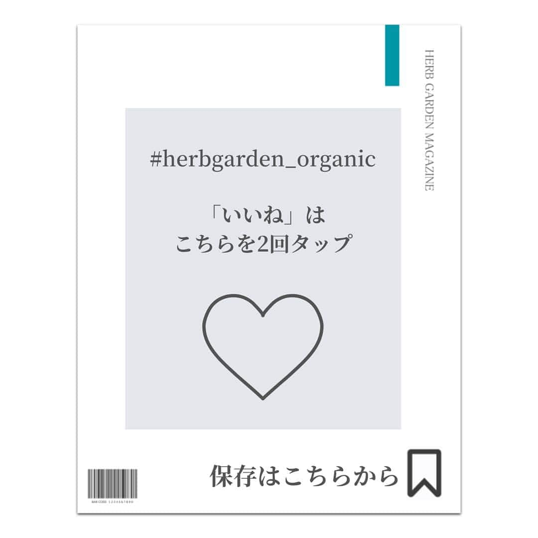 ハーブガーデン（さくらの森）公式さんのインスタグラム写真 - (ハーブガーデン（さくらの森）公式Instagram)「. 【実は簡単に使えるんですよ🍽️】 . 今回ご紹介する ボタニカルパワーの主役は 【ホーリーバジル】🌿 . 荘厳な印象の名前ですが 実は【あの料理】に入っている ハーブです☺️ . ハーブティーにも◎☕ . 体の内側から うるうるキレイになりたい方は ぜひこの投稿を読んでみてくださいね！ . （@herbgarden_organic） ====================== 【植物の力で美しさを取り戻す。美容やライフスタイル情報を発信中】 ・季節に合わせたスキンケア ・肌にいいボタニカルな食べ物 ・あなたにあったコスメの選び方 ・今人気の美容方法　など  #ハーブガーデンシャンプー をつけて投稿すると、 お写真を紹介させていただくことも。  詳しくは 【@herbgarden_organic】をご覧ください。 #シャンプー #ヘアケア #トリートメント #髪質改善 #オーガニック #コンディショナー #ノンシリコン #ハーブガーデン #頭皮ケア #美髪ケア #サラサラヘア #ダメージケア #美容好きと繋がりたい #ハーブのある暮らし #モテ髪 #髪質 #香りのある生活 #ノンシリコンシャンプー #ボタニカルシャンプー #キューティクル #ダメージケアにオススメ #美髪ケアトリートメント #ボタニカルシャンプーコンディショナー #ヘアケア難民 #ハーブシャンプーでサラサラ #ノンシリコンのハーブガーデン #ボタニカルシャンプーはハーブガーデン #ノンシリコンシャンプーはハーブガーデン #サラサラヘアにはハーブガーデン」5月17日 18時58分 - herbanience_official