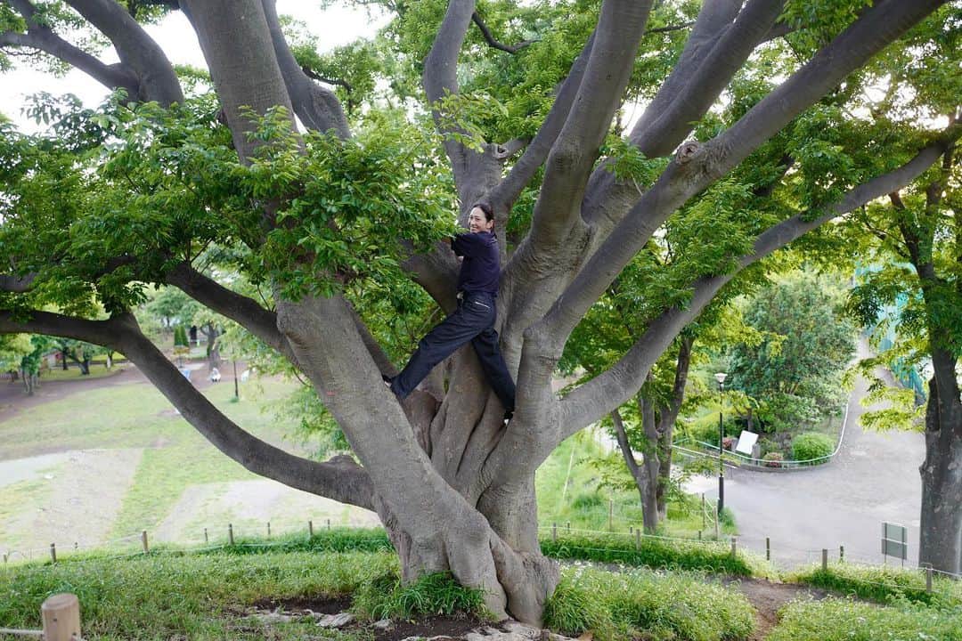 のインスタグラム：「. つかの間のお散歩🌳」