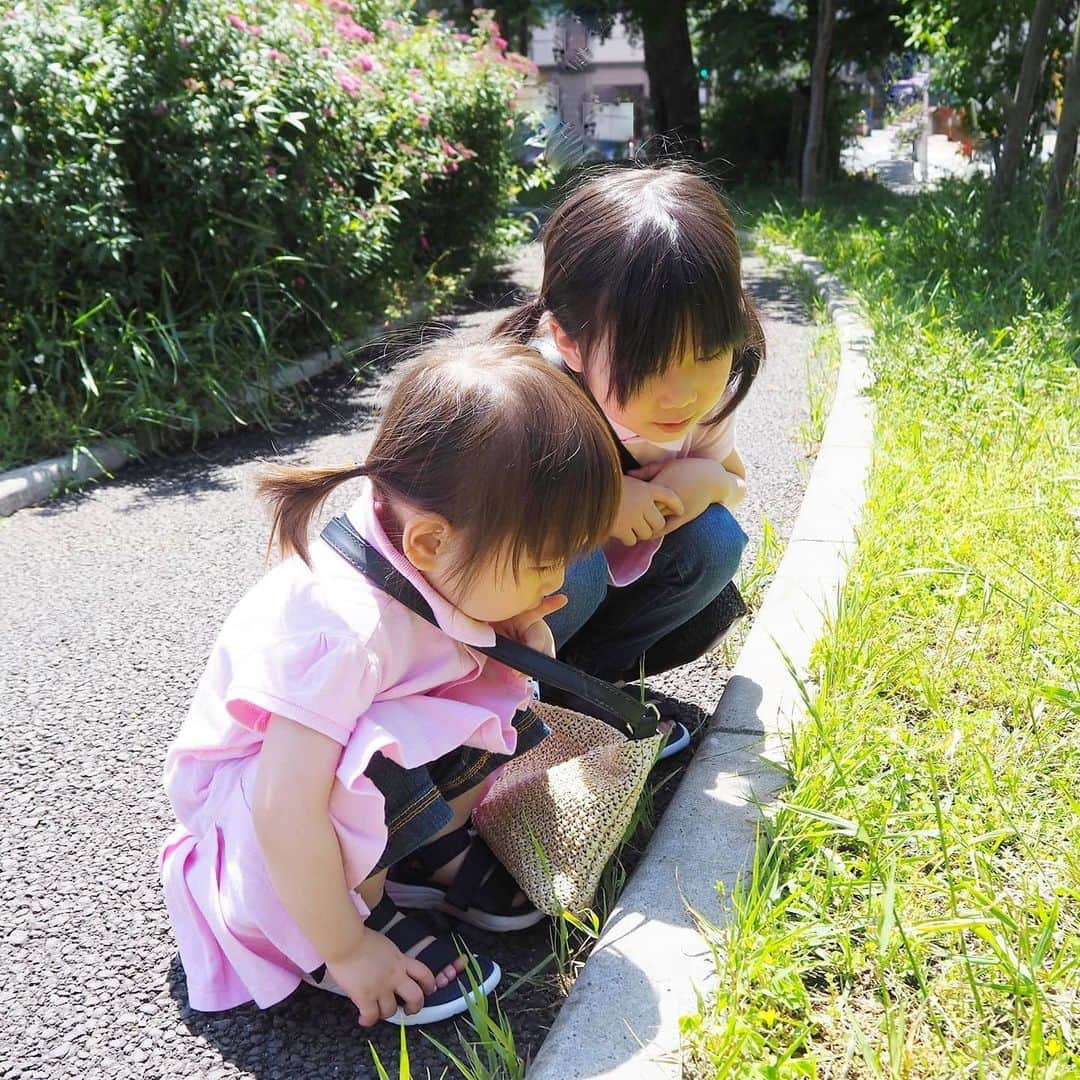 Kuboi Ayumiさんのインスタグラム写真 - (Kuboi AyumiInstagram)「こんばんは！﻿ 今日も暑かったですね。﻿ ﻿ 姉妹でお気に入りのポロのお揃いワンピースを着て﻿ 家族でお散歩をしに出たのですが、ちょうちょを探したりしているだけで﻿ 暑さでぐったりだったので、すぐにおうちプールに変更（笑）﻿ ﻿ 足元は家族全員お揃いのラクチンサンダルでした。﻿ すぐに全身泥だらけになる娘たちなので、ジャブジャブ洗って帰れるように。﻿ アジョリーのショルダーはかわいくて、2色買っちゃいました。﻿ ﻿ 来週から小学校は分散登校ですが、かなり不安。﻿ どうなることやら…。﻿ ﻿ ﻿ ワンピース：@poloralphlauren﻿ パンツ：@commecaism_official﻿ サンダル：@hiraki_official﻿ バッグ：@iamajolie　﻿ ﻿ ﻿ ちなみに、姉妹お揃いのワンピースと次女のパンツは @carryon_officialで購入しました。﻿ 今、コーデコンテストをしているみたいなので、私も参加してみようっと。﻿ ﻿ ﻿ ﻿ #リンクコーデ #親子リンク #ajolie　#ajoliebook #ショルダーバッグ #かごバッグ #アジョリームック本﻿ #ヒラキ #キャリーオン  #ヒラコーデ #ヒラキモニプラ #靴のヒラキ #スポサン #499円 #monipla #hirakishopping_fan」5月17日 19時54分 - himekagami