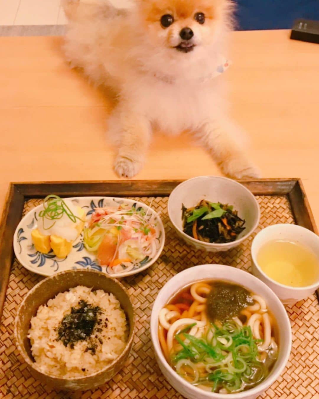 RIO POMEのインスタグラム：「stay homeもだいぶなりますね💦 今日はちょっと体力があったので鯛めし🐟にしました✨  毎年春になるとにいちゃんが好きなので作りますが今年はなかなか作る気力がなくてギリギリ😅 今回はじっくりと昆布のダシをだしたもので炊いたんで美味しかったです🥰  記念にインスタ映えを意識して豆乳の卵焼きとヒジキも😜 いつもなら鯛めしと汁ものとおつけものくらいかなあ😅 しかもめったに登場しない箸置きまで😏 まあ記念💕記念💕  ヒジキはいつも豆腐やさんのうすあげとにんじんとゴボウとシイタケを入れて旨味をヒジキにたっぷり吸わせます😊 今日はインゲンと絹さやをいれましたがちくわを入れたり大豆を入れたりとすることも✨  と初めてごはんもpostしてみました💕 もちろんリオも参加です❣️ 近々また機種変更するんですがインスタ無事戻れますように✨  ポメラニアン #pomeranian  #犬 #dog #dogstagram#doglover #愛犬 #わんこ #ポメラニアン大好き #ポメラニアンが世界一可愛い #pom #ぽめらにあん #ポメ#pomeraniansofinstagram  #pomeranianlove #ふわもこ部 #いぬバカ部 #癒しわんこ#instapic#pomstagram #puppy #dogsofinstagram #cute#cutedog #色合い苦手　#コーディネートも苦手 　#とりあえず緑をのせてみる」