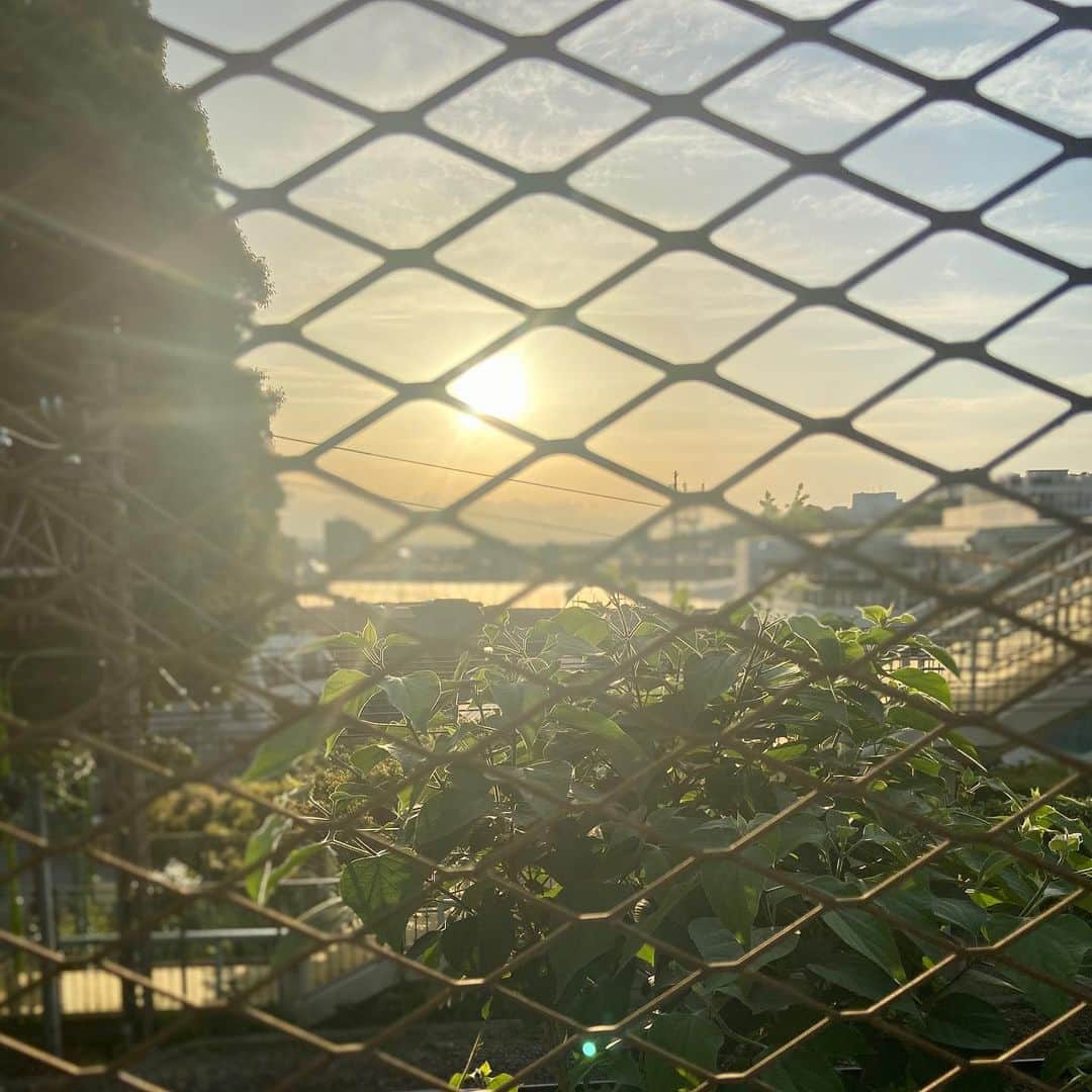 吉沢悠さんのインスタグラム写真 - (吉沢悠Instagram)「． #lifestyle #keephealthy  #forgoodwaves  #ランニング  #running  #nrc #sunset」5月17日 20時44分 - hisashi_yoshizawa