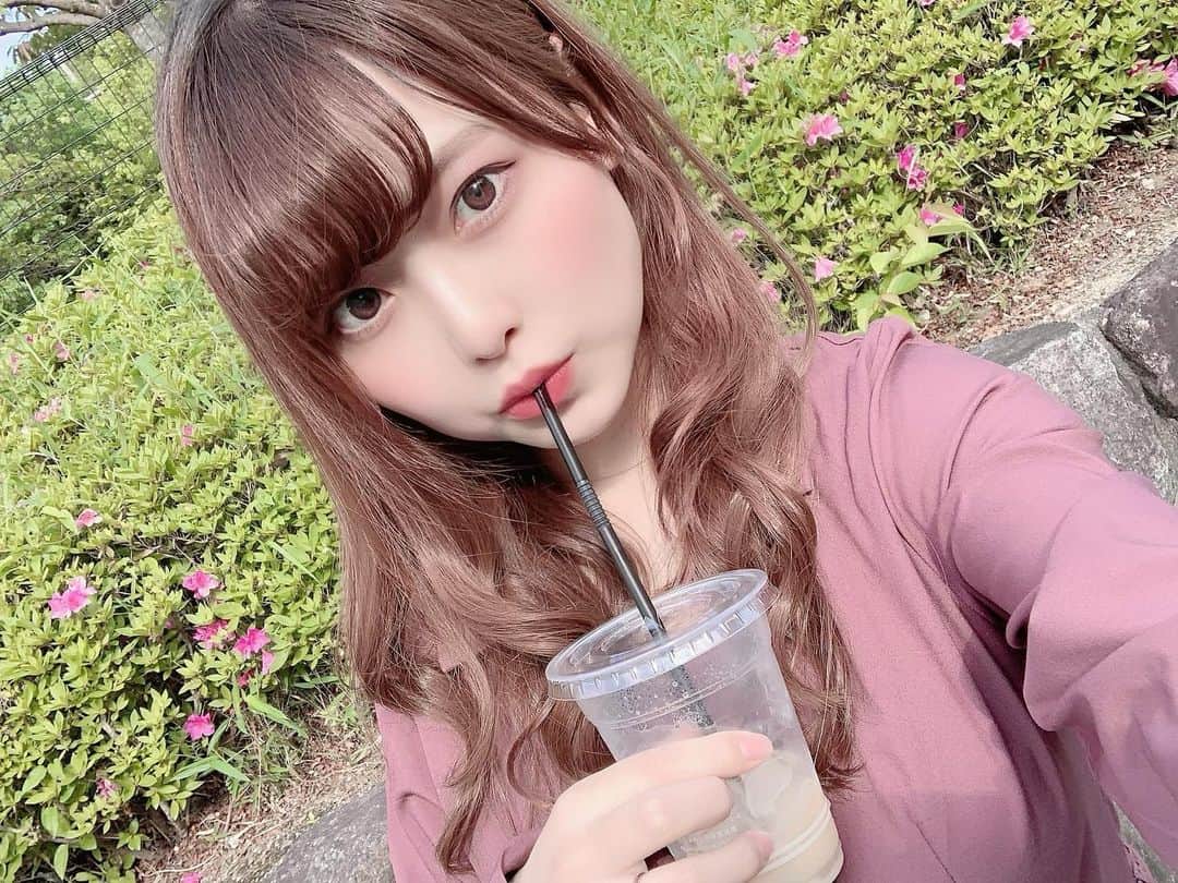 のインスタグラム：「. 久しぶりに外に出た🐱🌼 . #散歩」