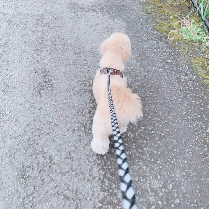 優木瑛美のグルメインスタ