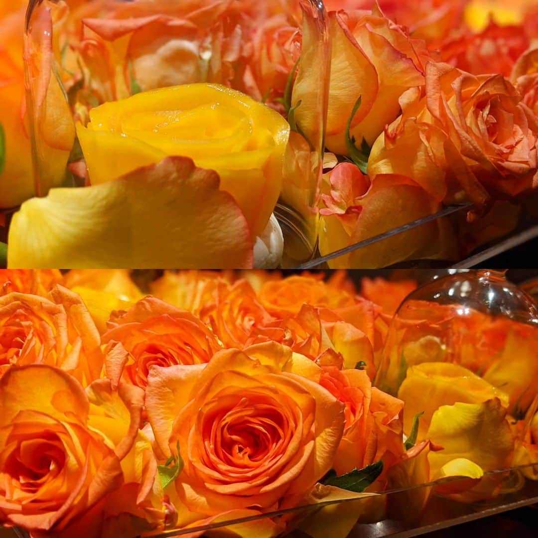 天本正通 のグルメインスタ